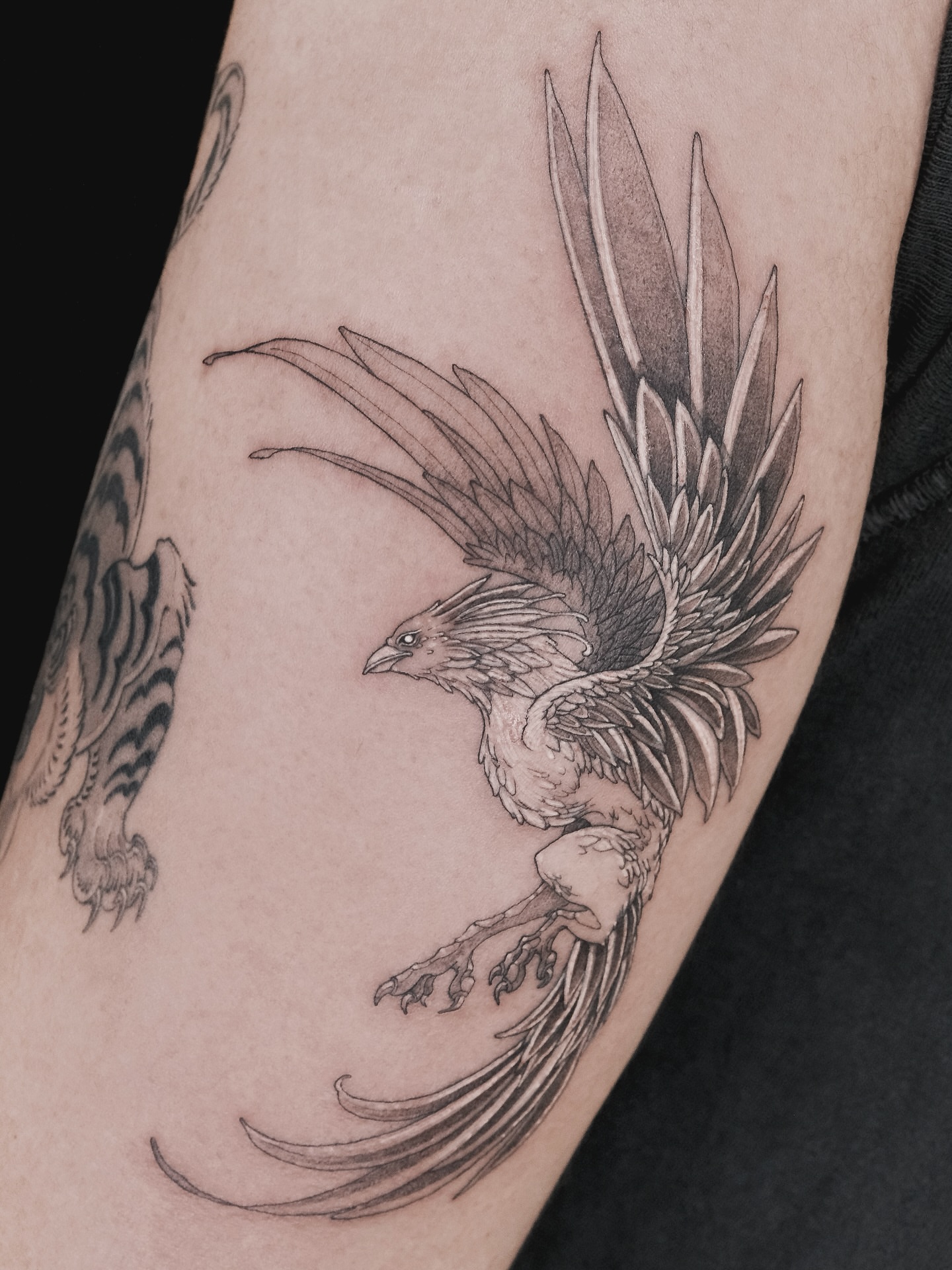 Tattoo by @pobitattoo — black_and_grey