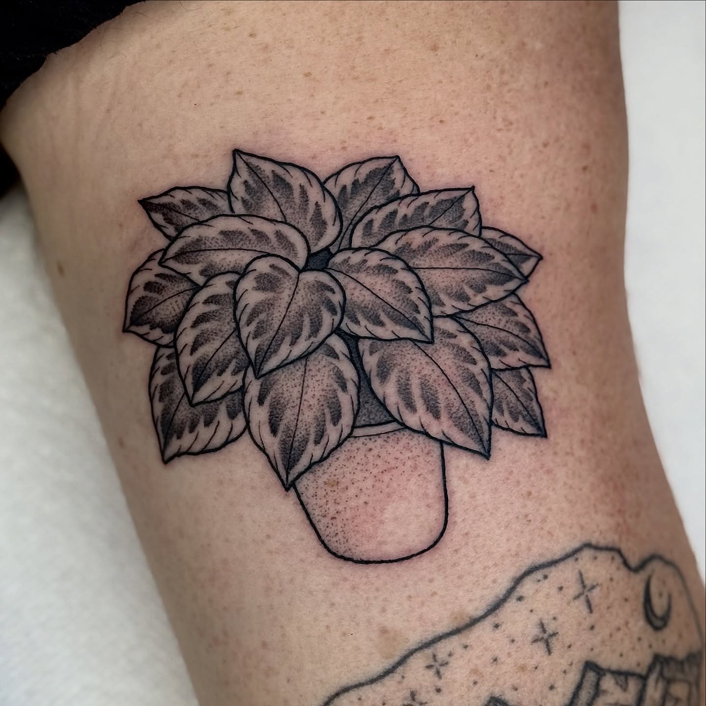 Tattoo by @clem.needlemark — dotwork