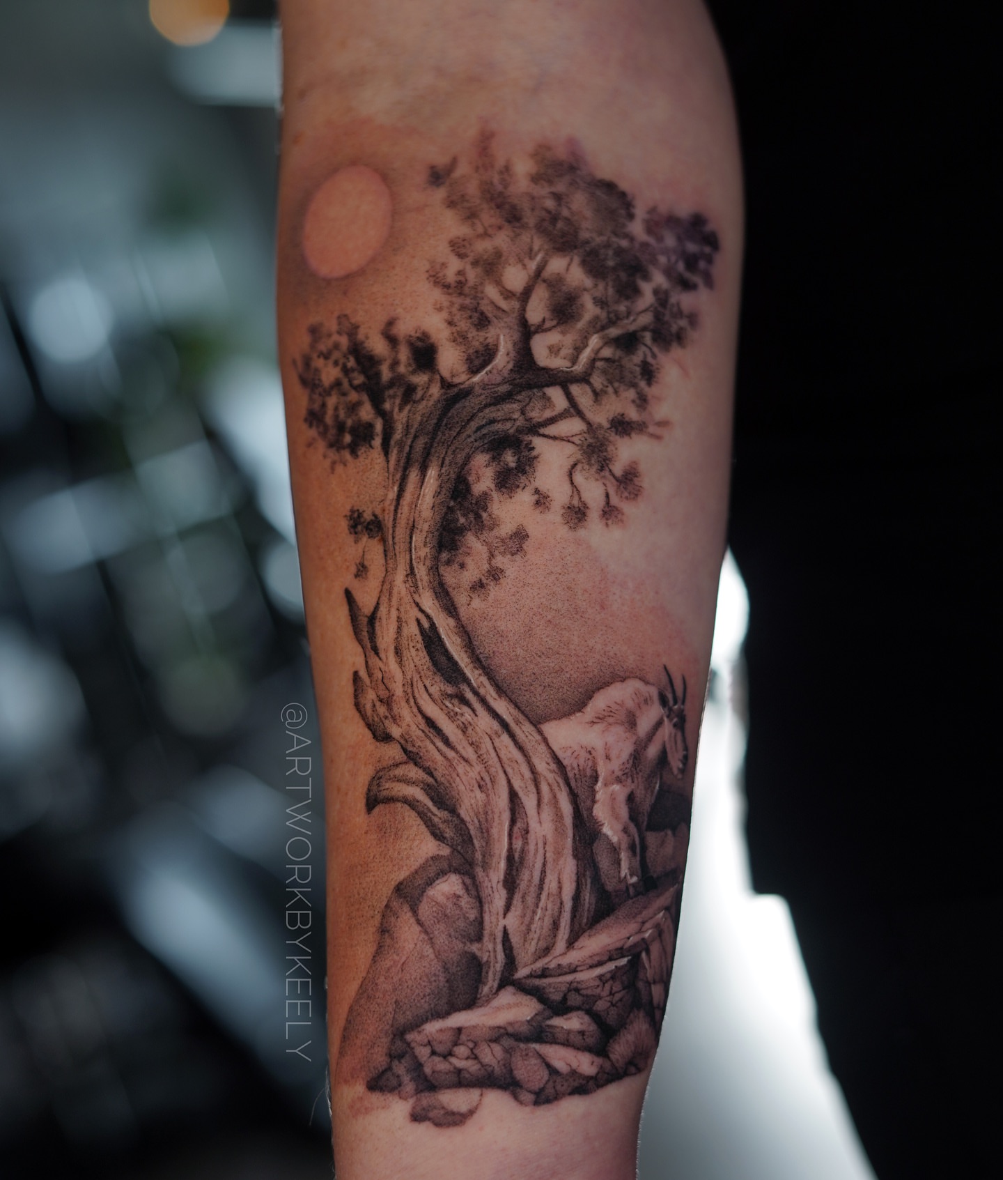 Tree and goat realism tattoo on the forearm by Keely Thompson