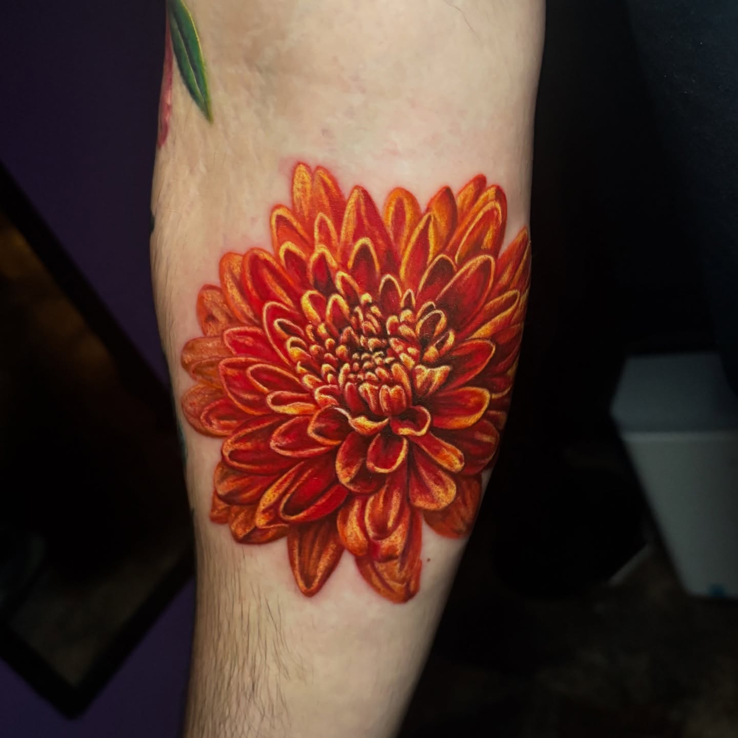 Chrysanthemum realism tattoo on the forearm by Marianna Lombardi
