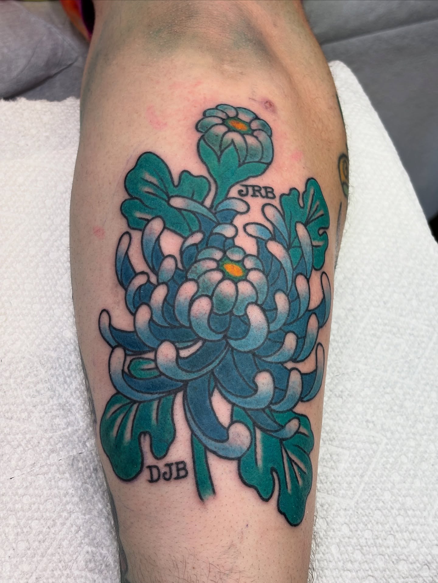 Chrysanthemum American traditional tattoo on the forearm by Mike DiCicco