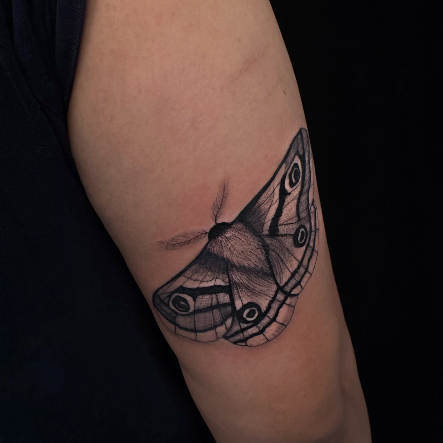 Moth black and grey tattoo on the forearm by ᴍᴀɢɢɪᴇ ✧, Las Vegas, Nevada