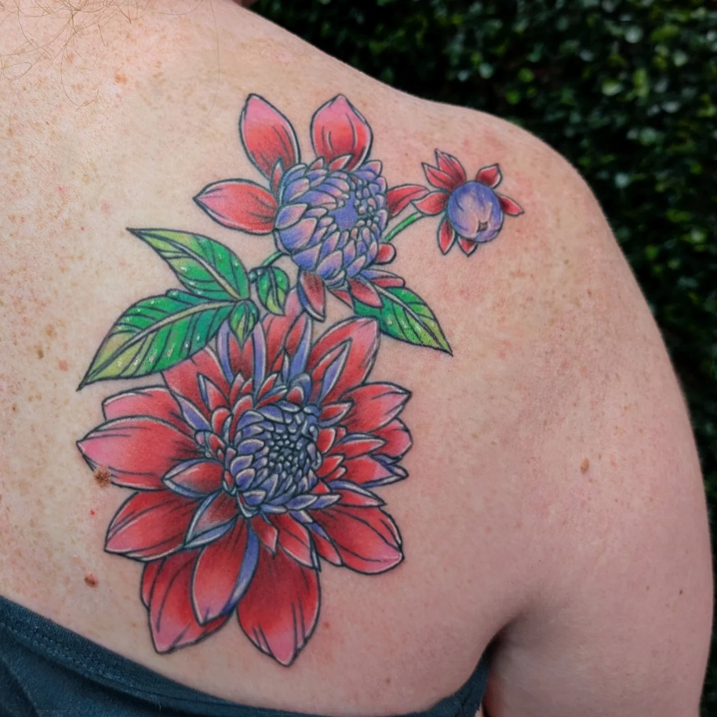 Dahlia flowers new school tattoo on the shoulder by Marlayna Connelly
