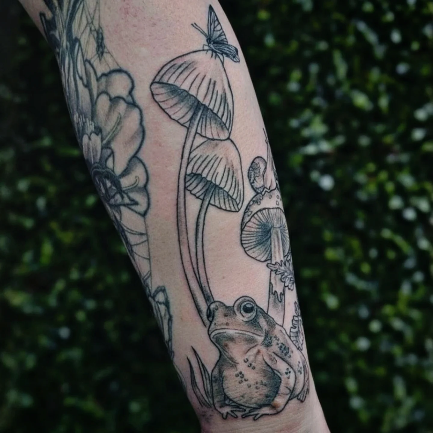 Frog and mushrooms realism tattoo on the forearm by Marlayna Connelly