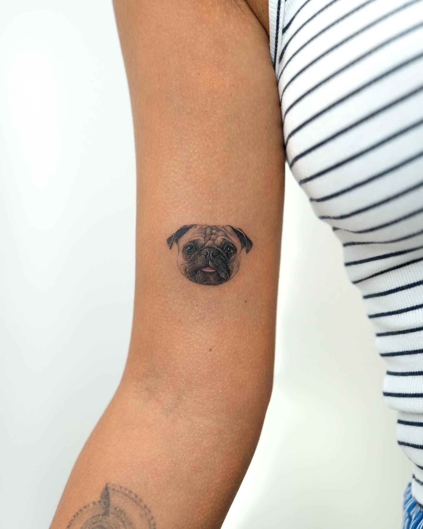 Pug realism tattoo on the forearm by Zeeyo 지요