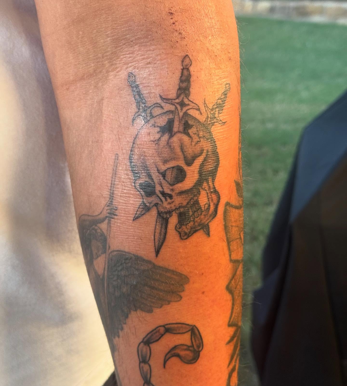 Skull with wings neo-traditional tattoo on the forearm by @mr.smiley___