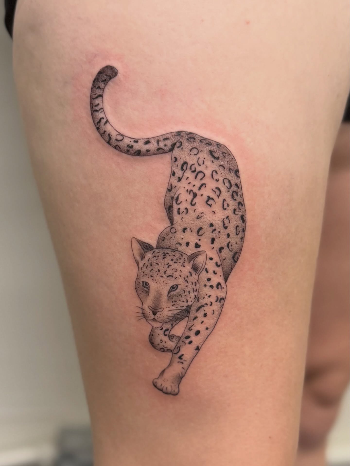 Leopard dotwork tattoo on the thigh by liliana lopez