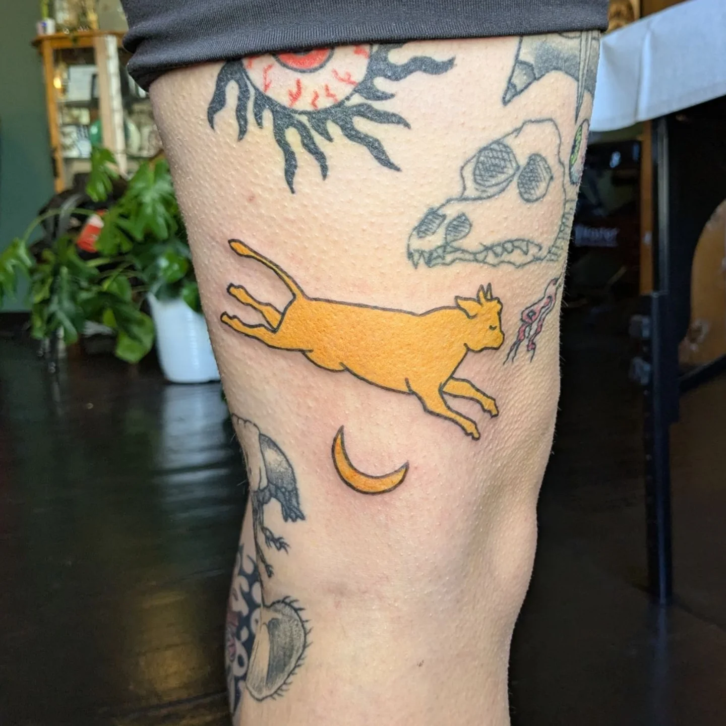 Cat jumping American traditional tattoo on the forearm by Madison Cañedo ✺ Portland tattoo
