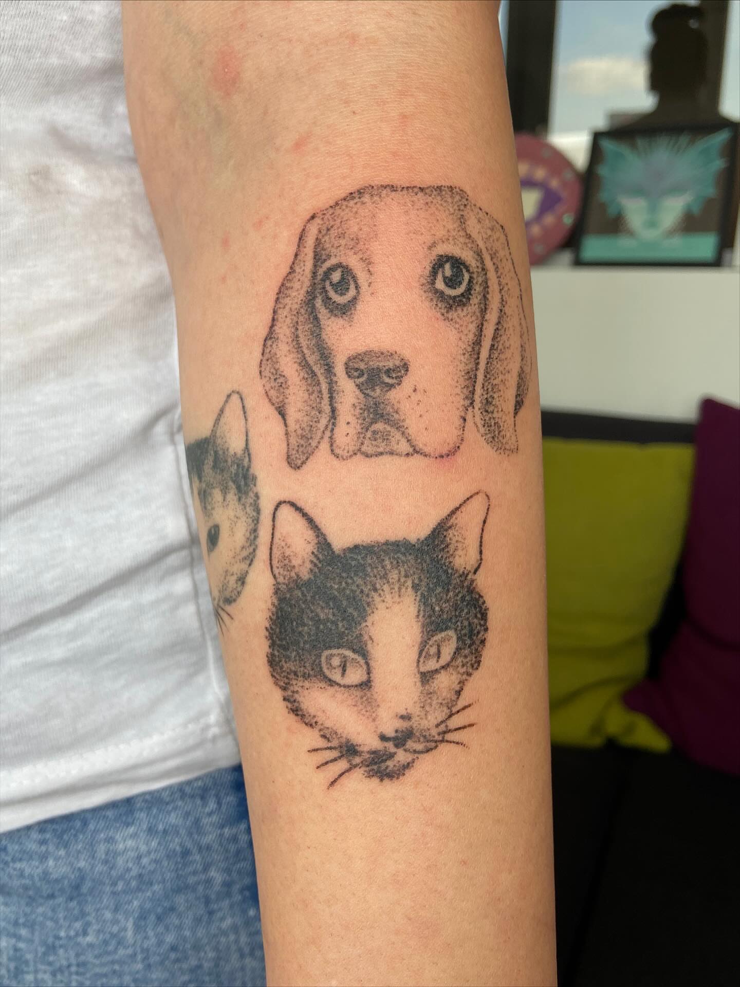 Dog and cat dotwork tattoo on the forearm by Kasia ✨jedyny taki handpoke w katowicach✨