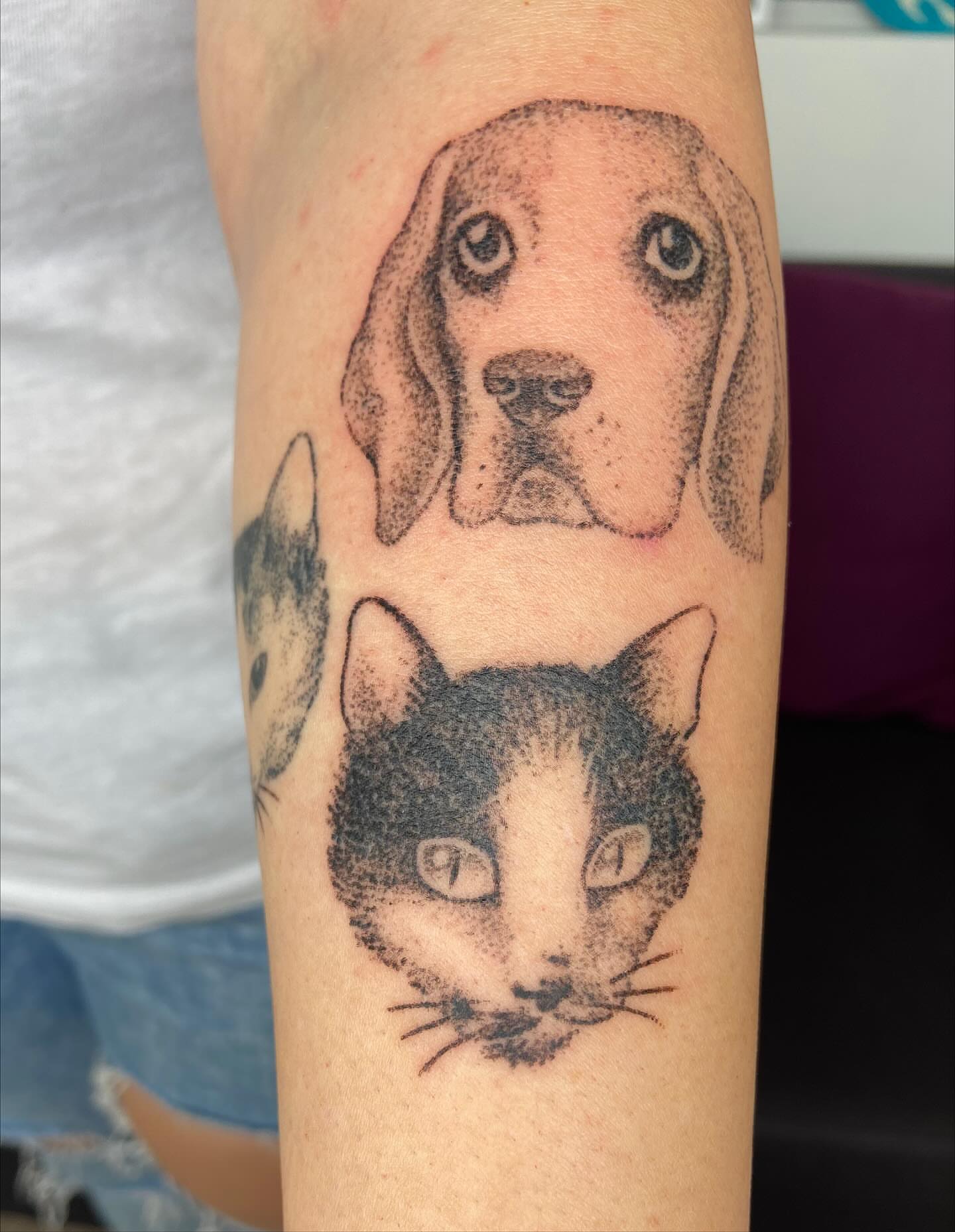 Dog and cat dotwork tattoo on the forearm by Kasia ✨jedyny taki handpoke w katowicach✨