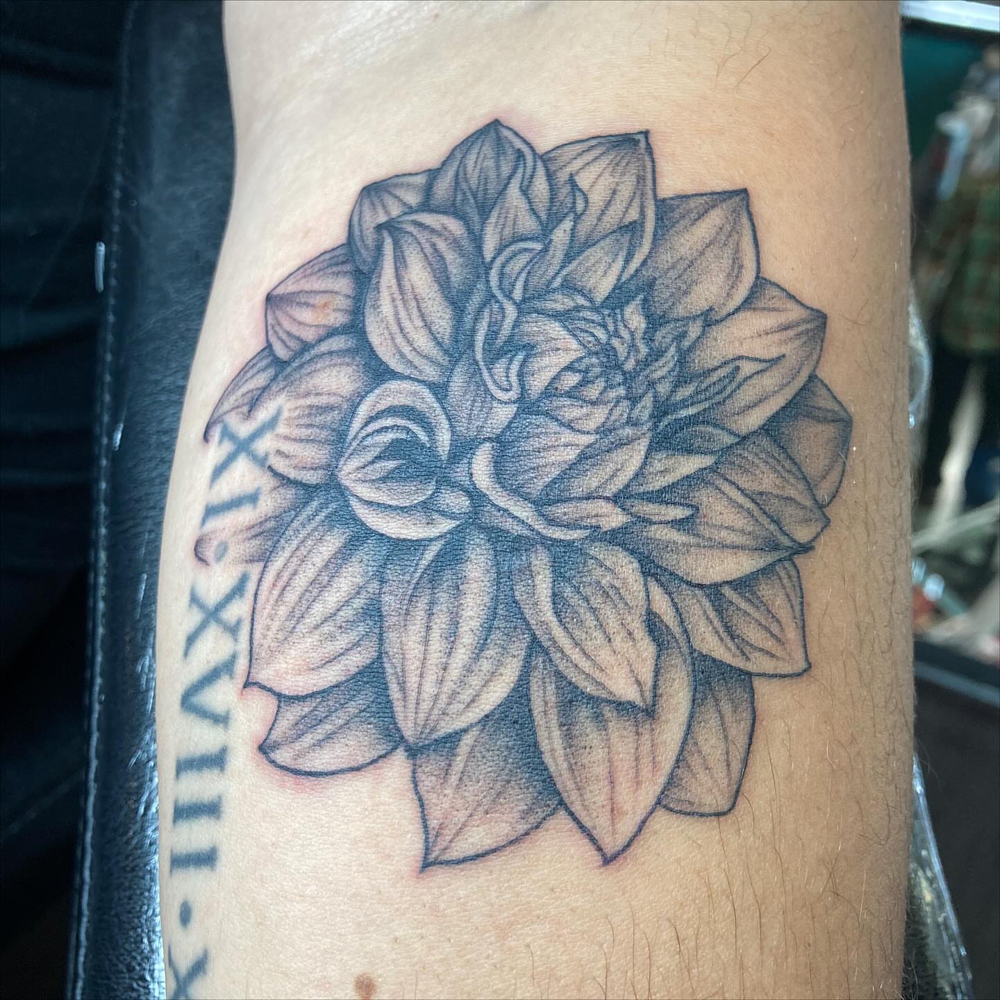 Tattoo by @queendaddytattoos — black_and_grey