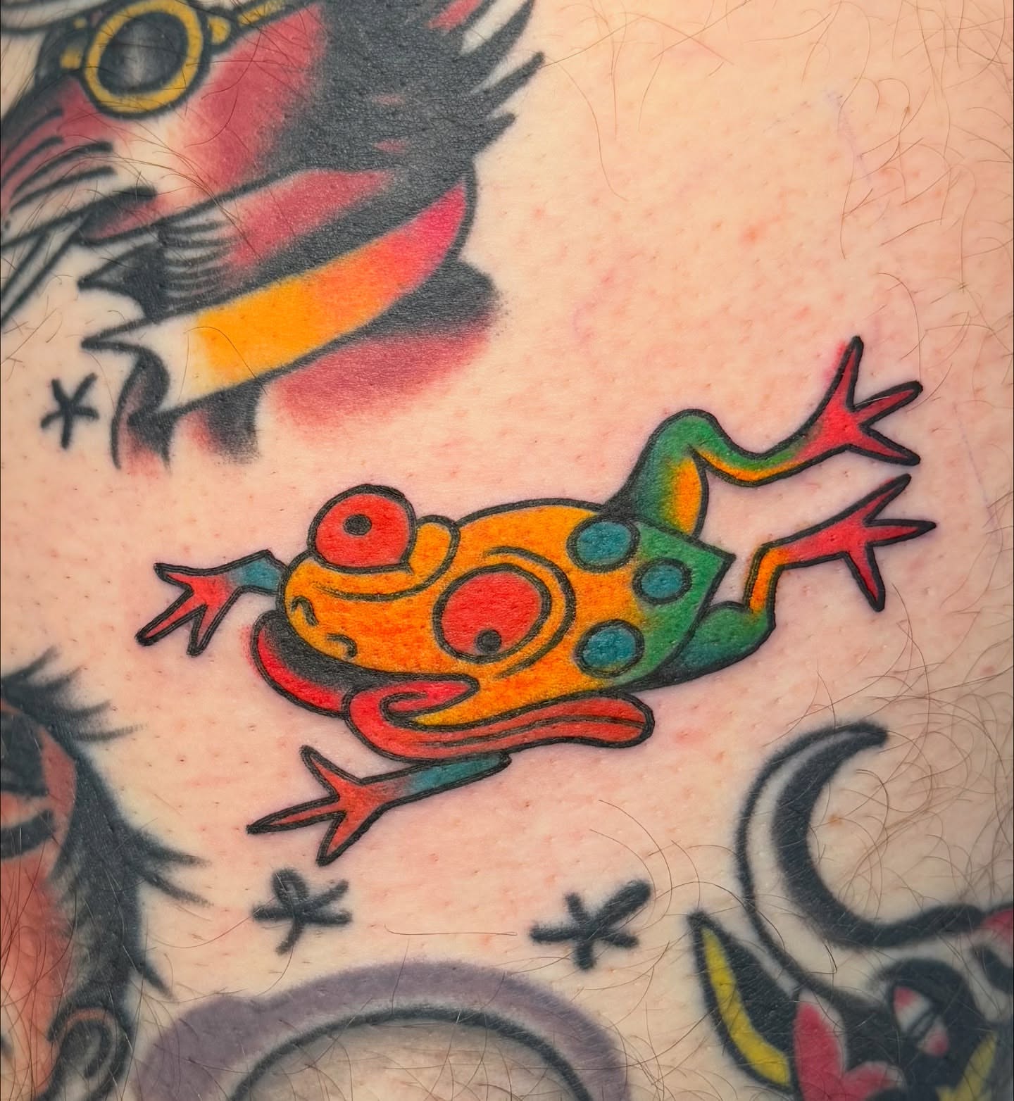 Frog American traditional tattoo by sydtatz