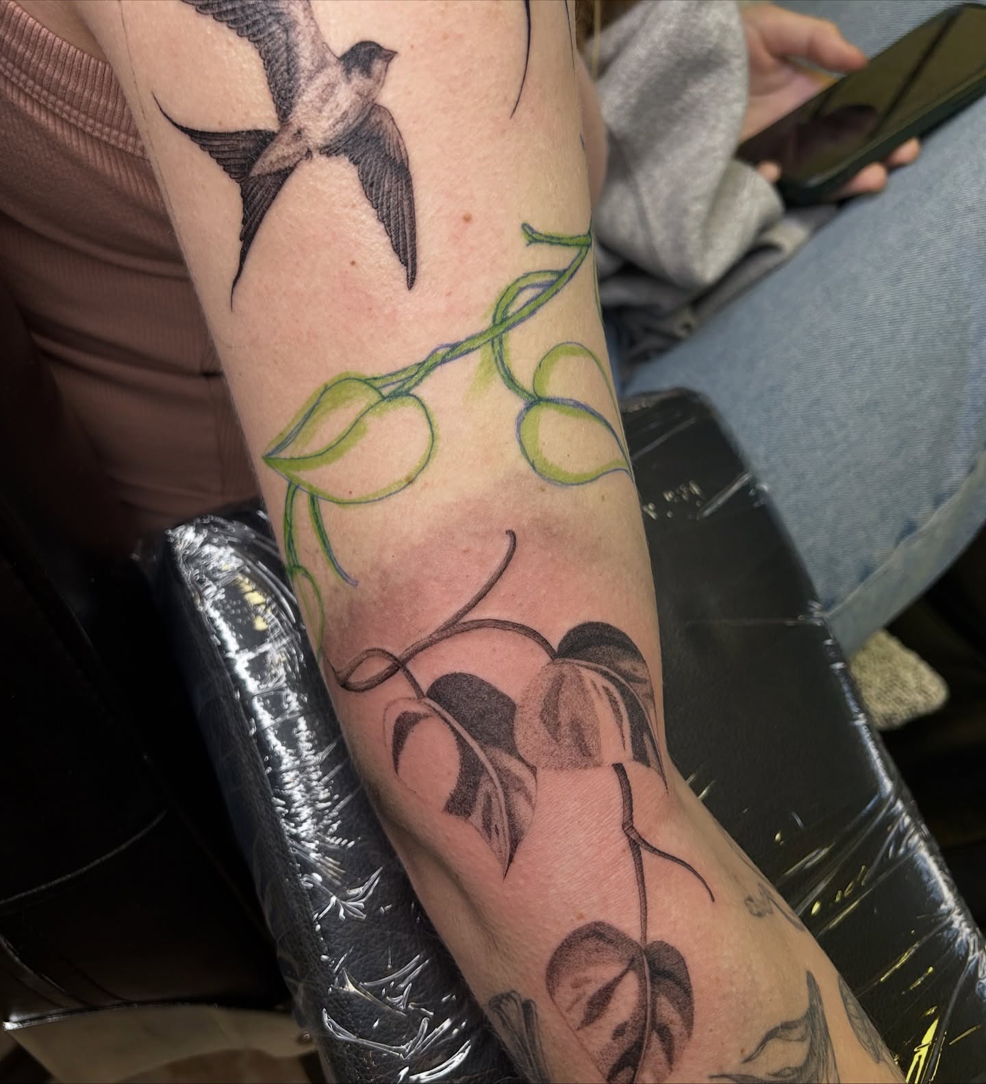 Bird and vine black and grey tattoo on the forearm by 𝕤𝕒𝕧𝕒𝕟𝕟𝕒