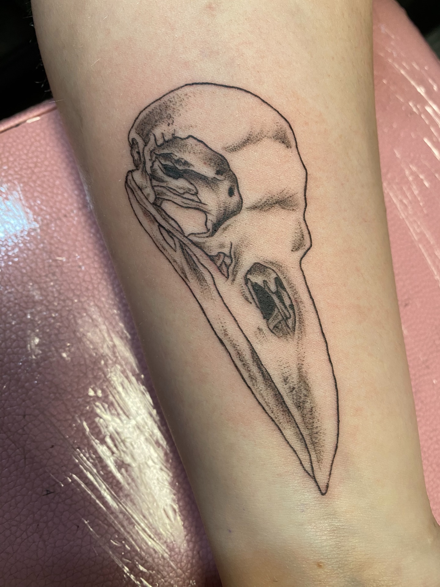 Crow skull realism tattoo on the forearm by Mack ๐ Utah Tattoos