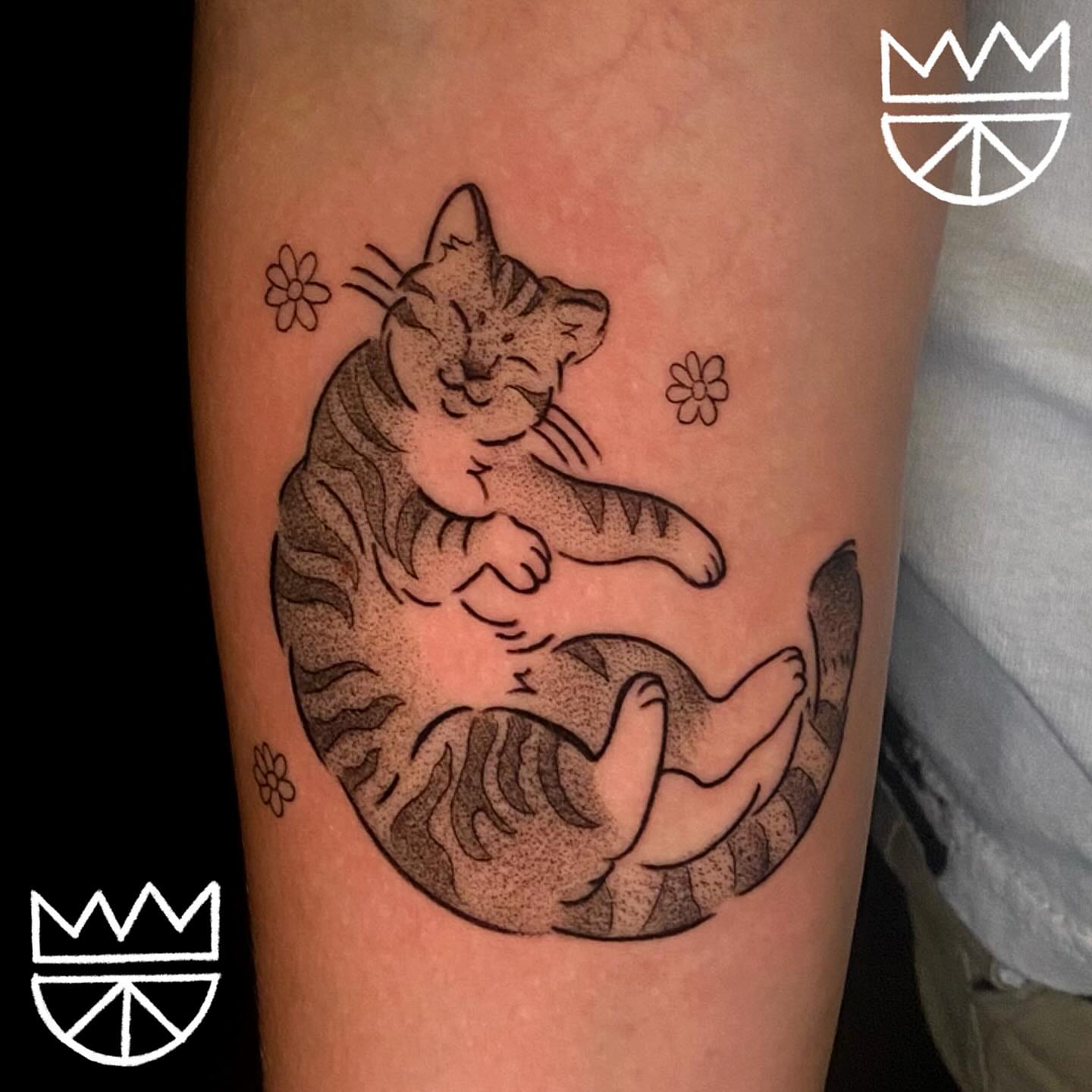 Two cats dotwork tattoo on the forearm by Prncjordn, Stallings, North Carolina