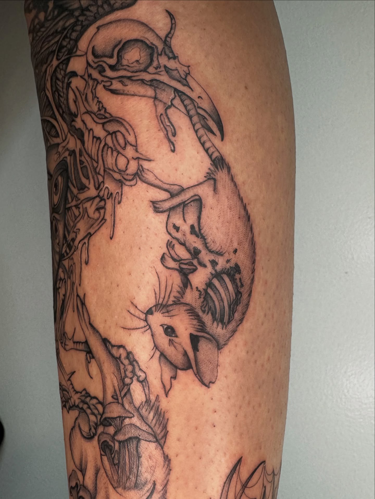 Rabbit and dragon realism tattoo on the forearm by Austin Tattoo Artist, Austin, Texas