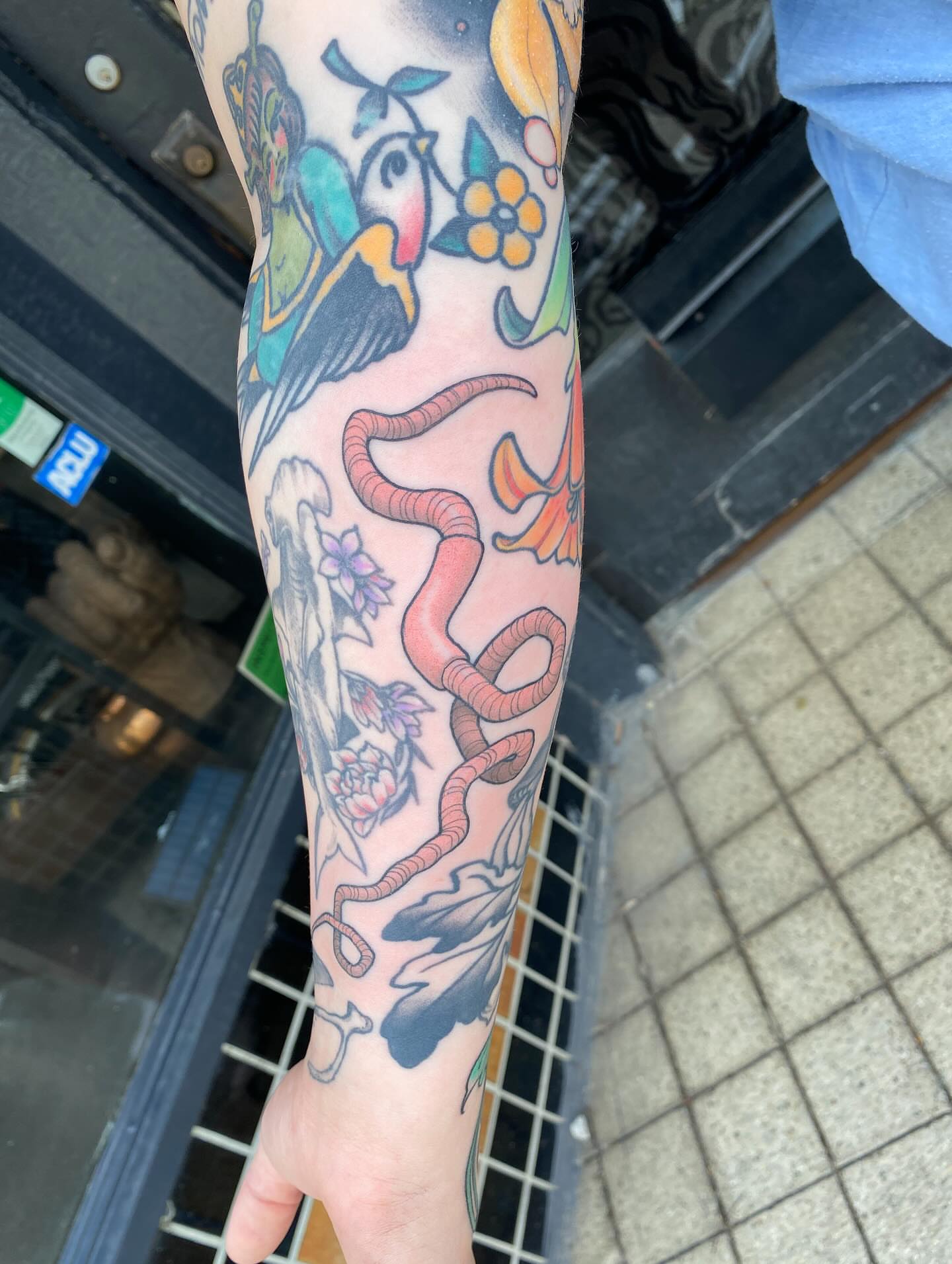 Bird and snake American traditional tattoo on the forearm by Kyle Kozek, Columbus, Ohio