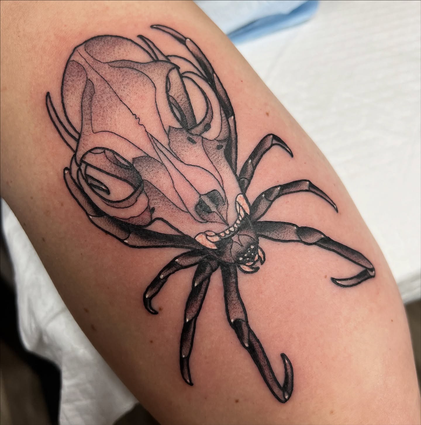 Octopus dotwork tattoo on the forearm by Nathan Garcia