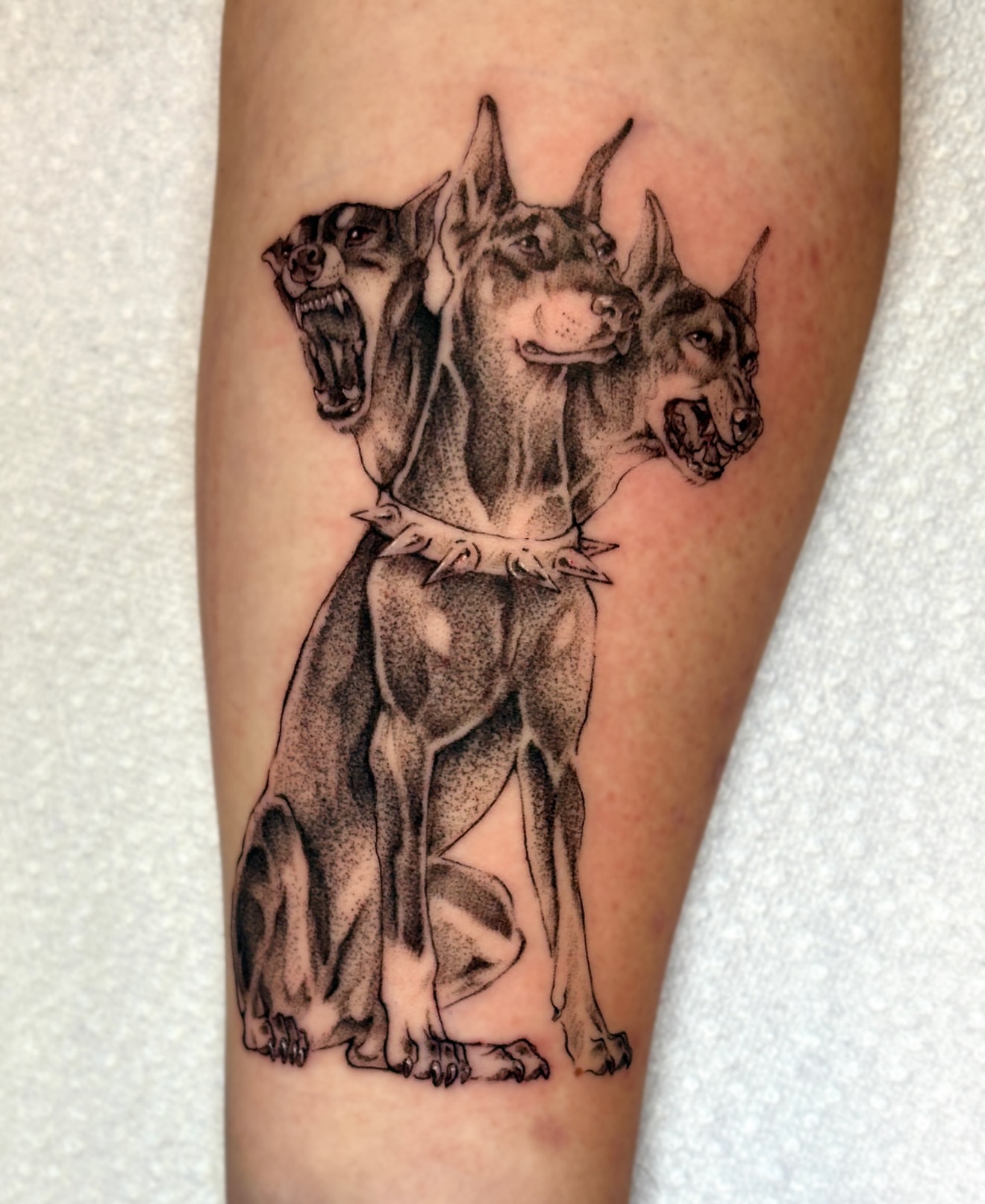 Doberman dotwork tattoo on the forearm by jo, Wichita, Kansas