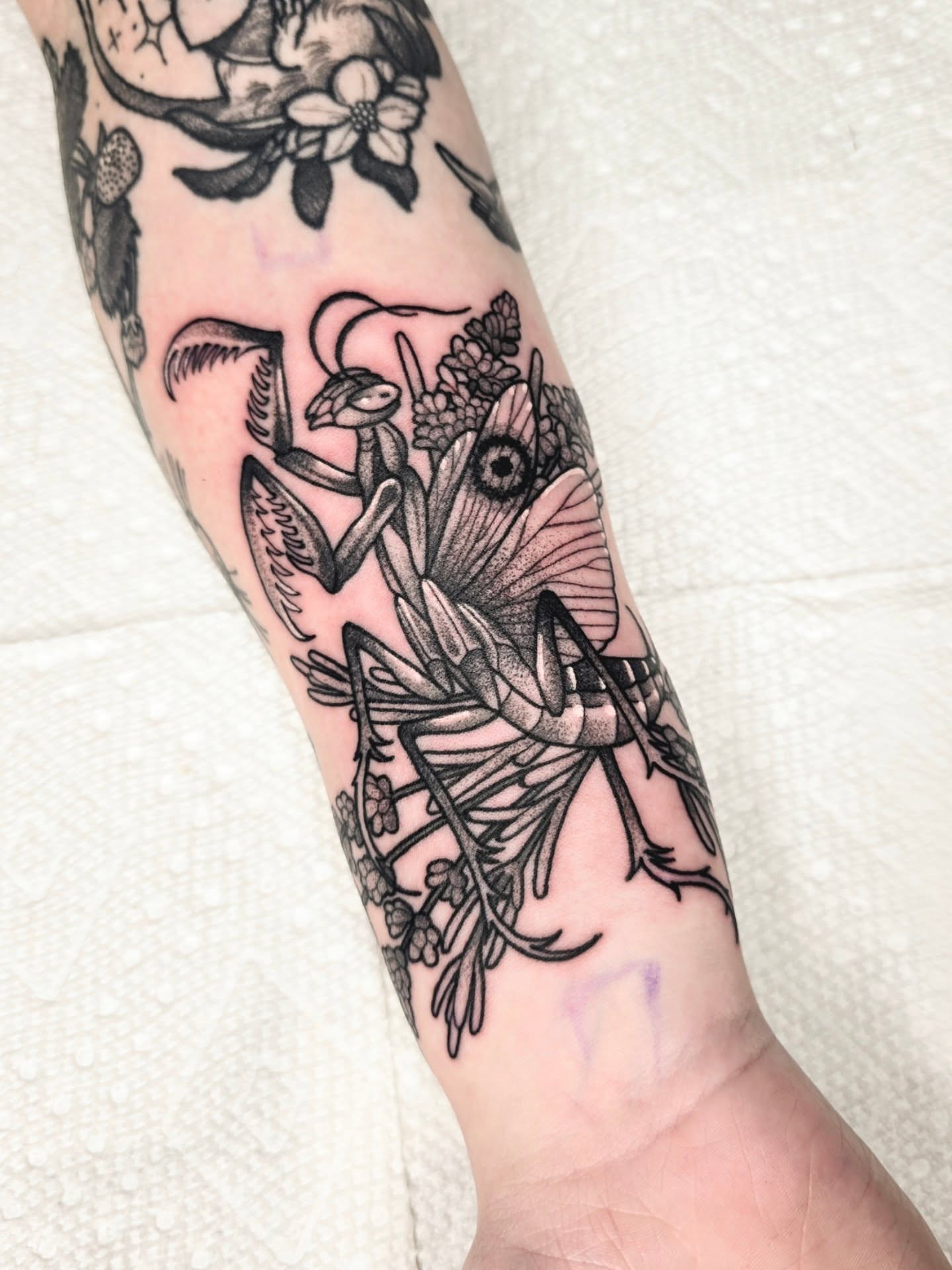Tattoo by @makluvintattoos — black_and_grey, realism