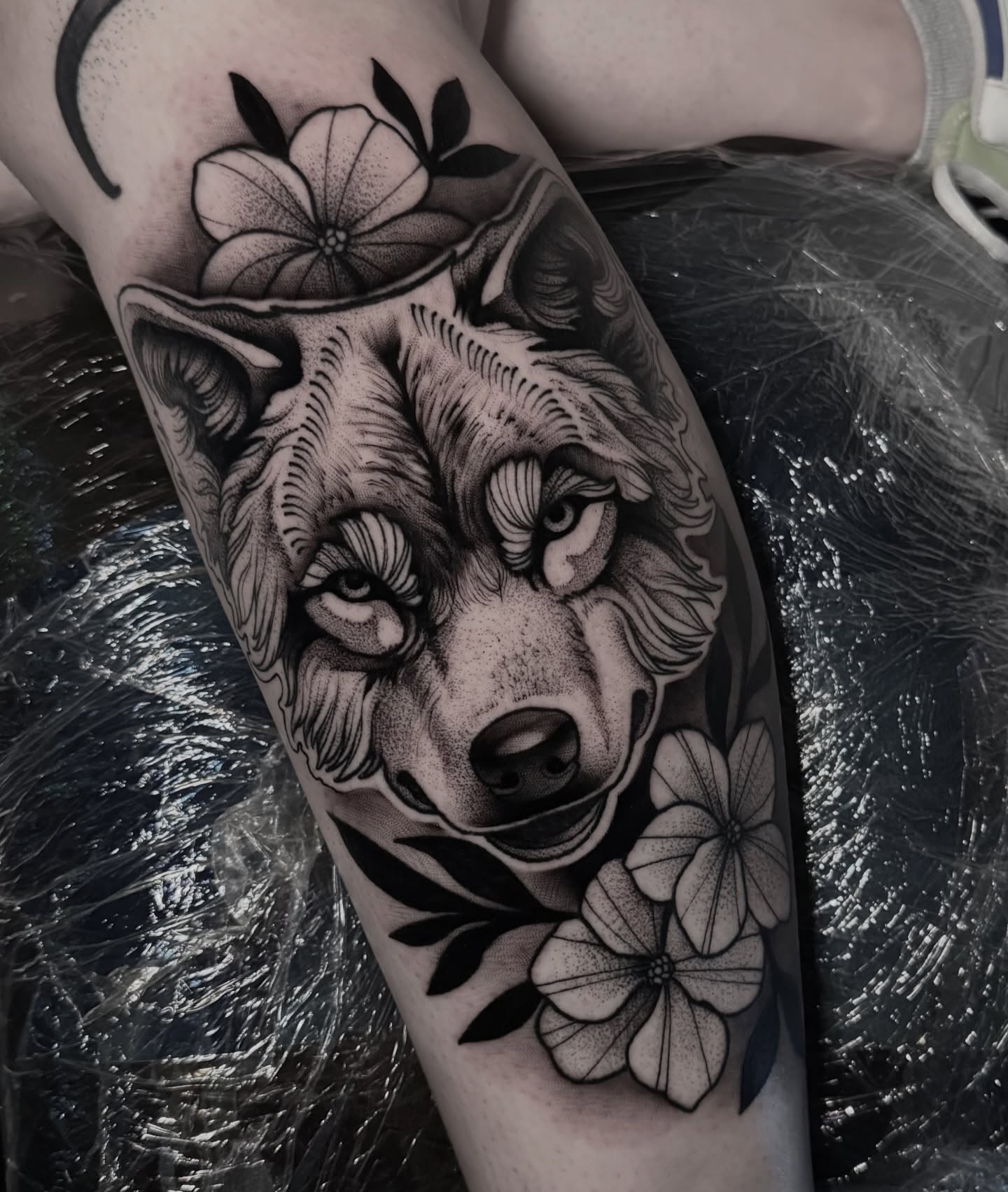 Wolf dotwork tattoo on the forearm by Clayton Smith (BEAR)