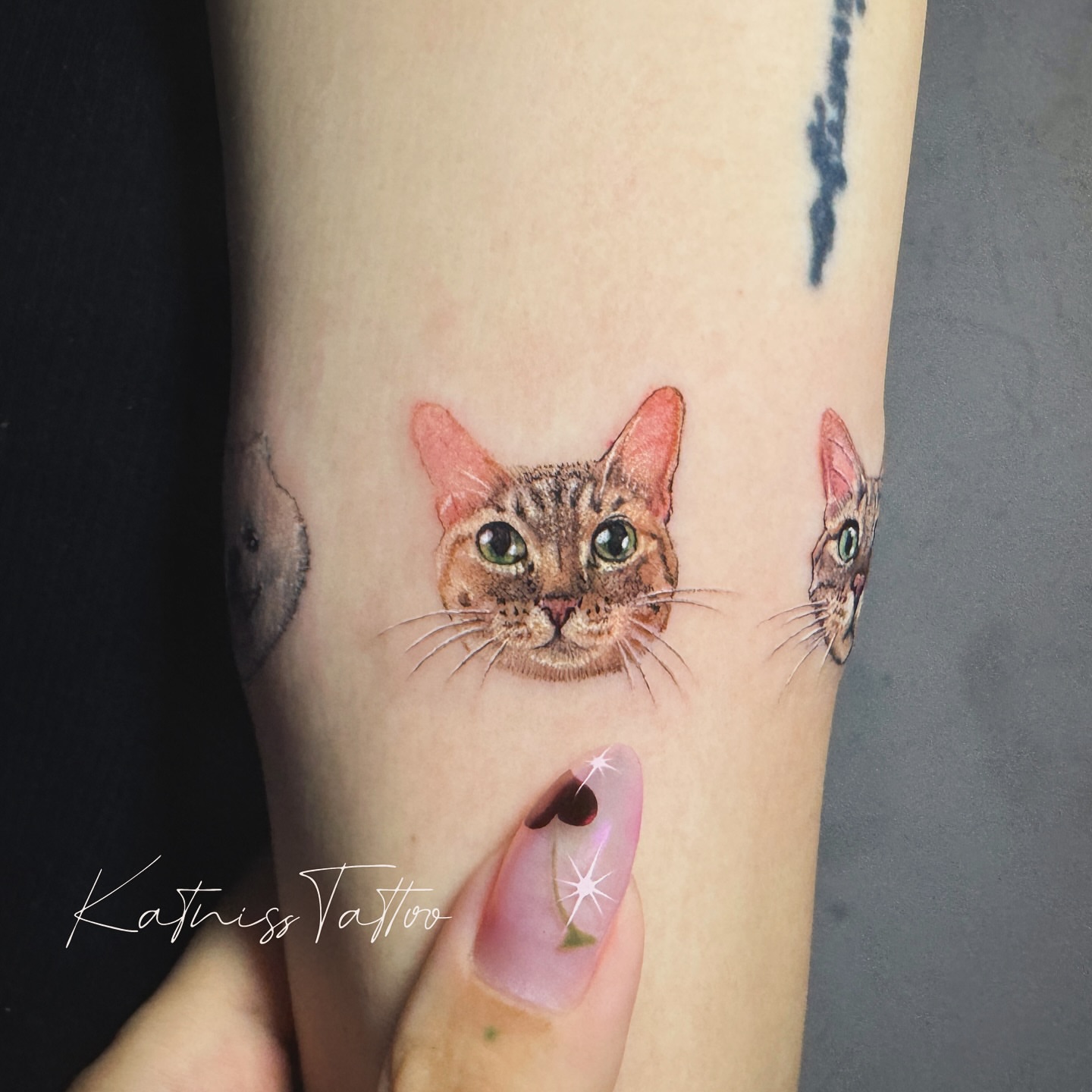 Cat realism tattoo on the forearm by 𝙆𝙖𝙩𝙣𝙞𝙨𝙨