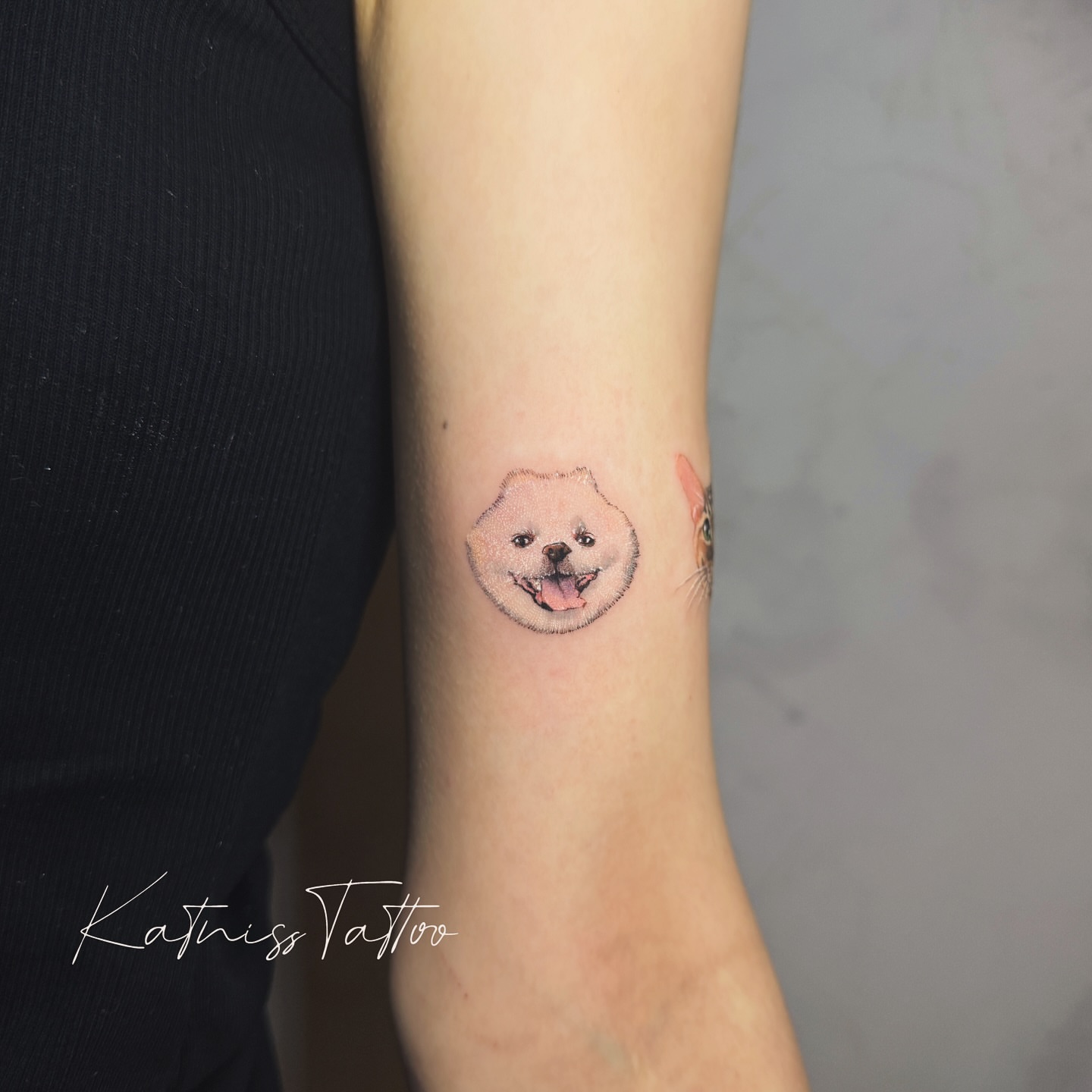 Dog realism tattoo on the forearm by 𝙆𝙖𝙩𝙣𝙞𝙨𝙨