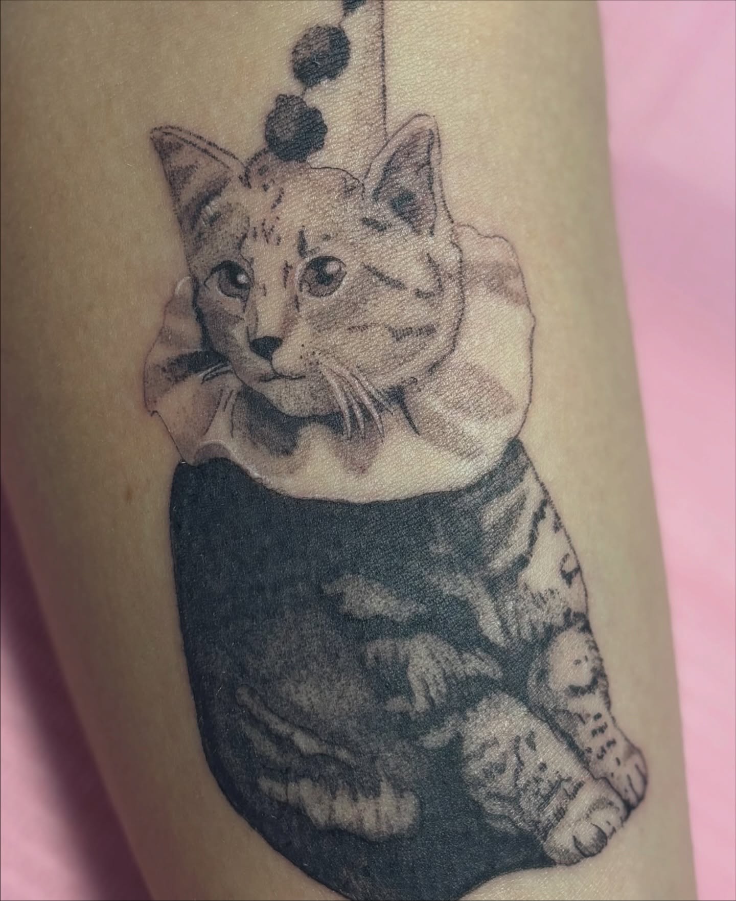 Cat realism tattoo on the forearm by eli (eh-lee)