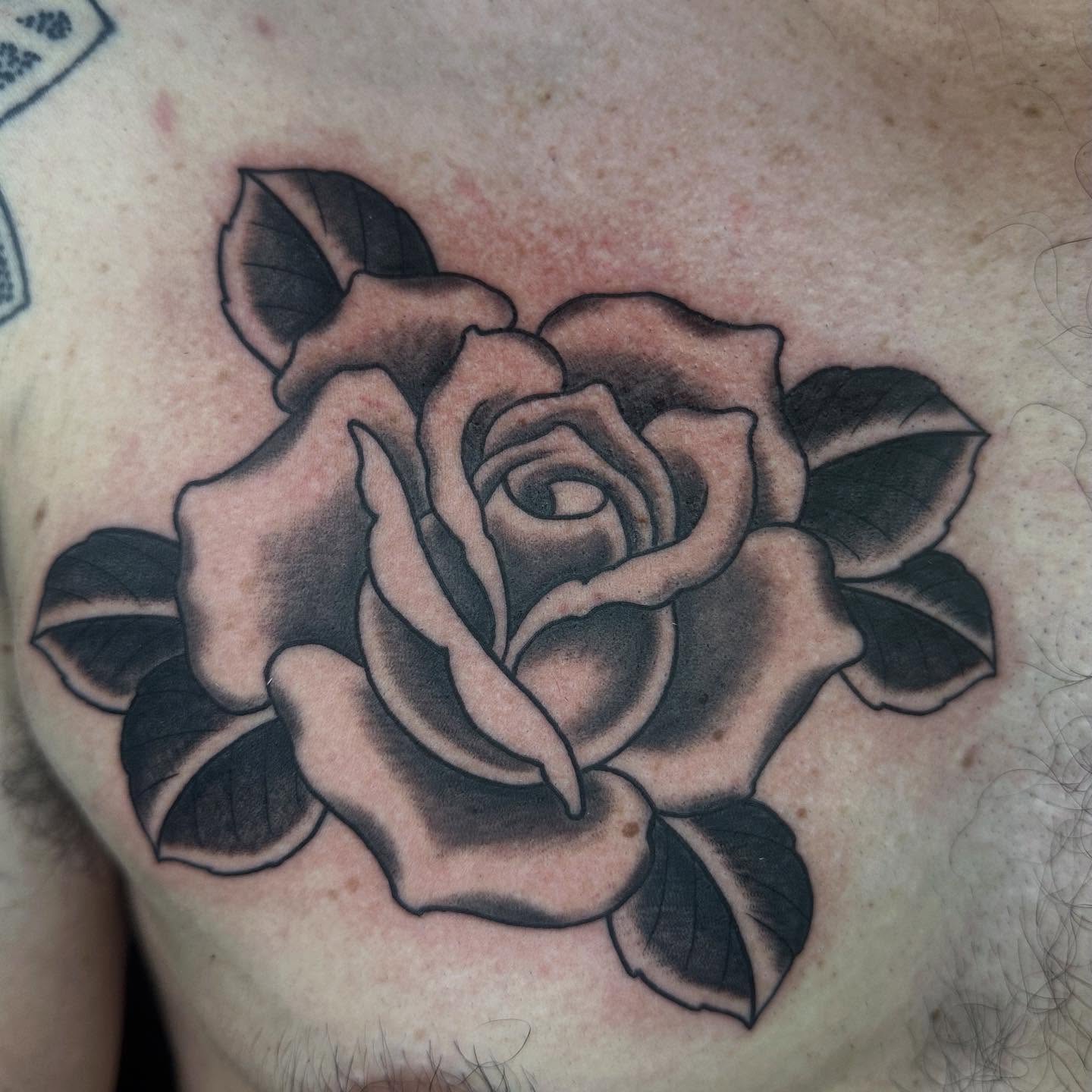 Rose black and grey tattoo on the chest by Owlyn Madrone