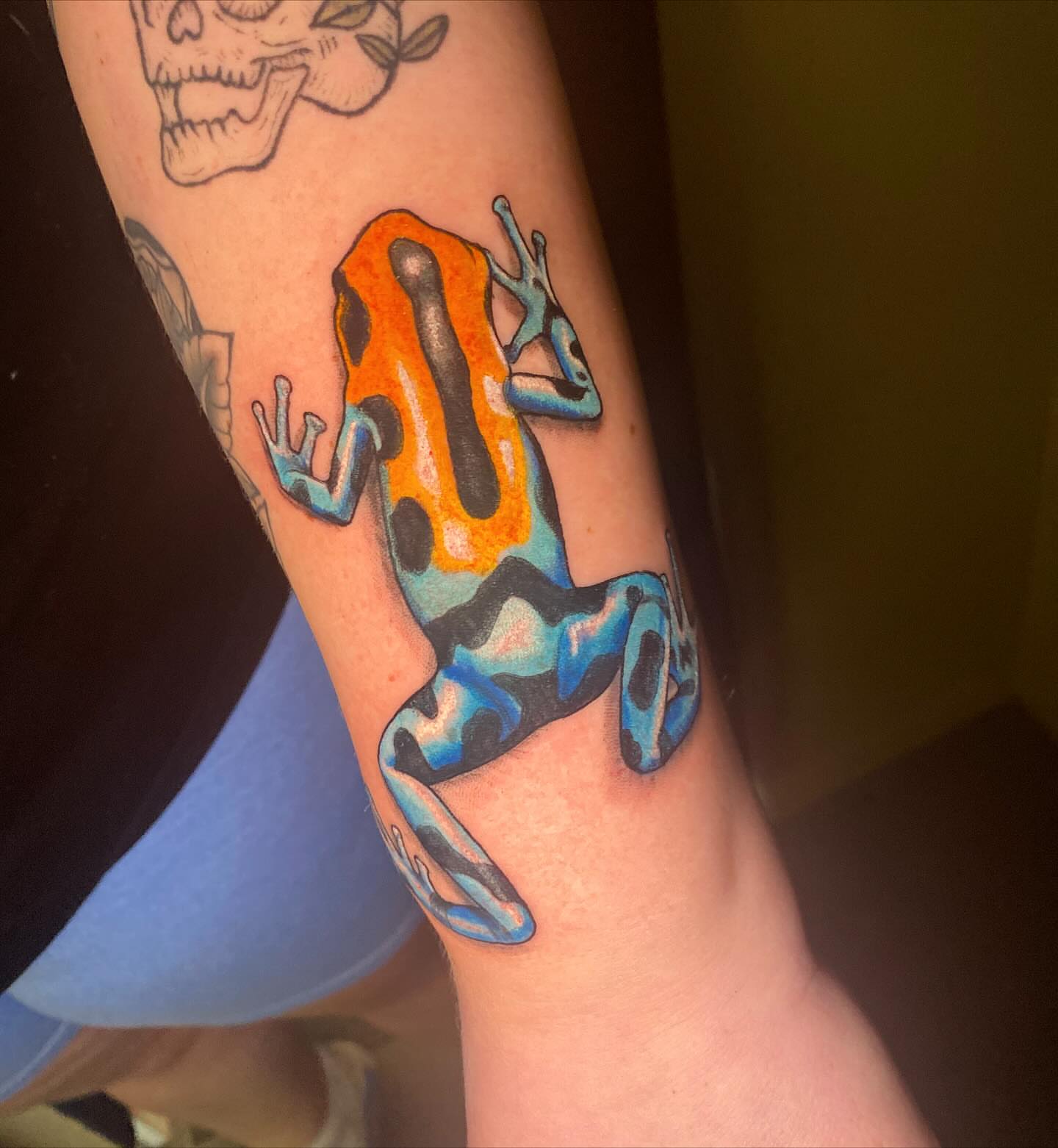 Orange and blue frog realism tattoo on the forearm by Casey Dohner