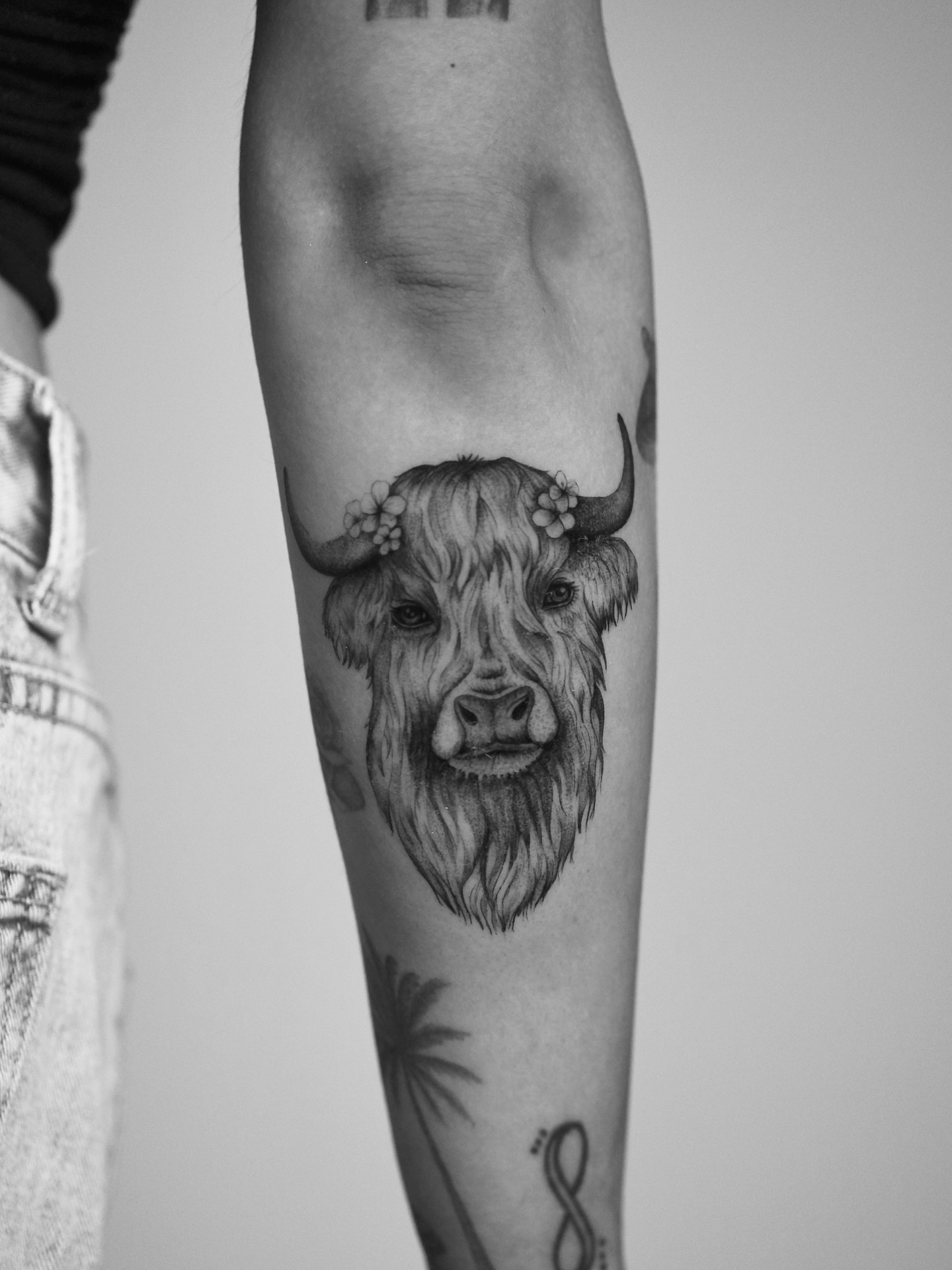Highland cow realism tattoo on the forearm by Ninna