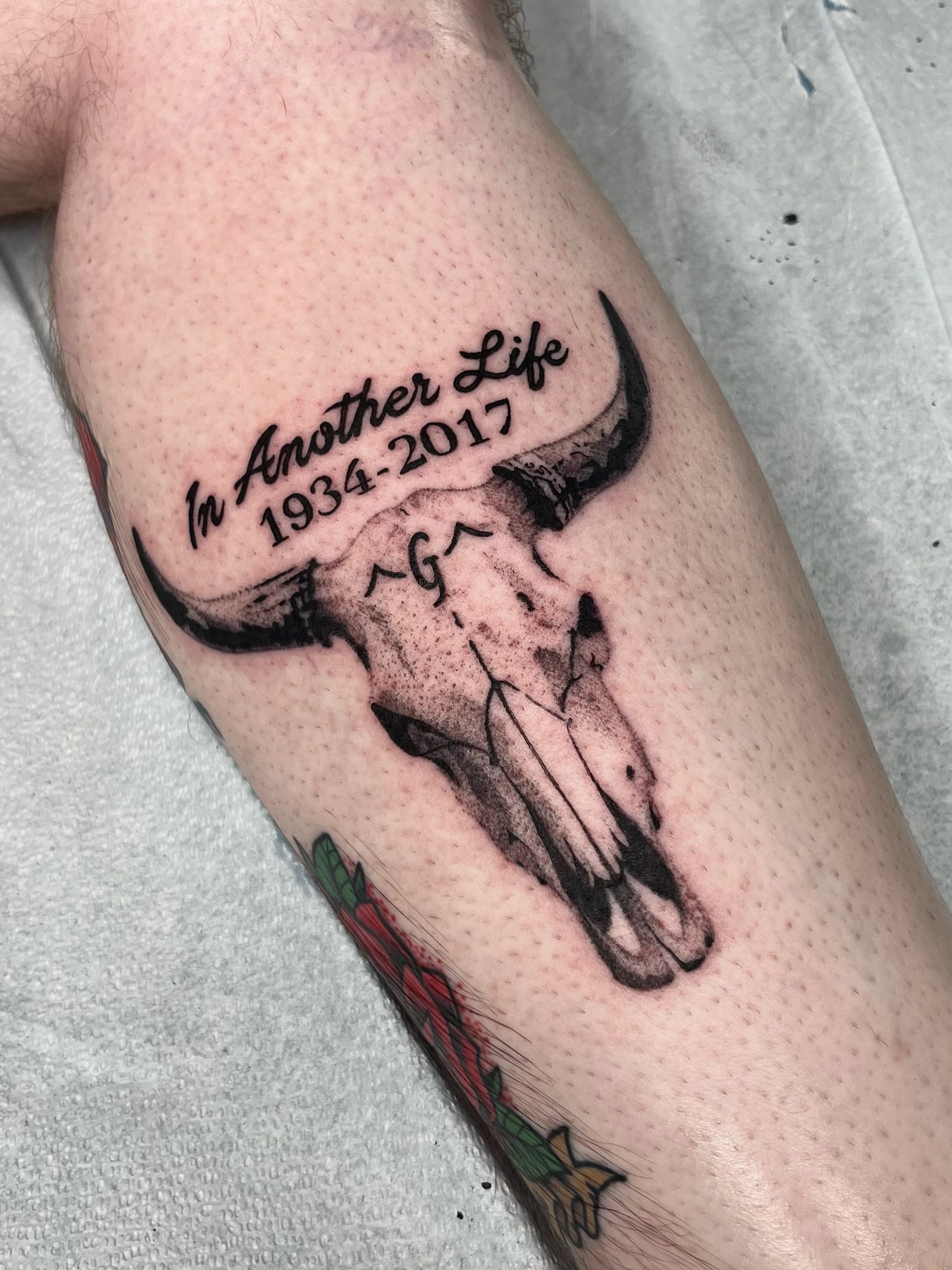 Bull skull black and grey tattoo on the forearm by ✩gracie ⋆｡°✩