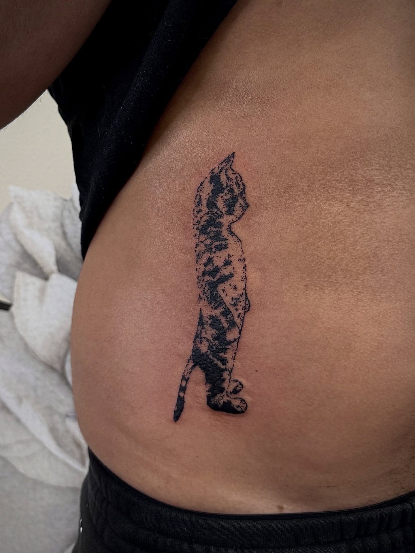 Cat black and grey tattoo on the ribs by Emily‹𝟹
