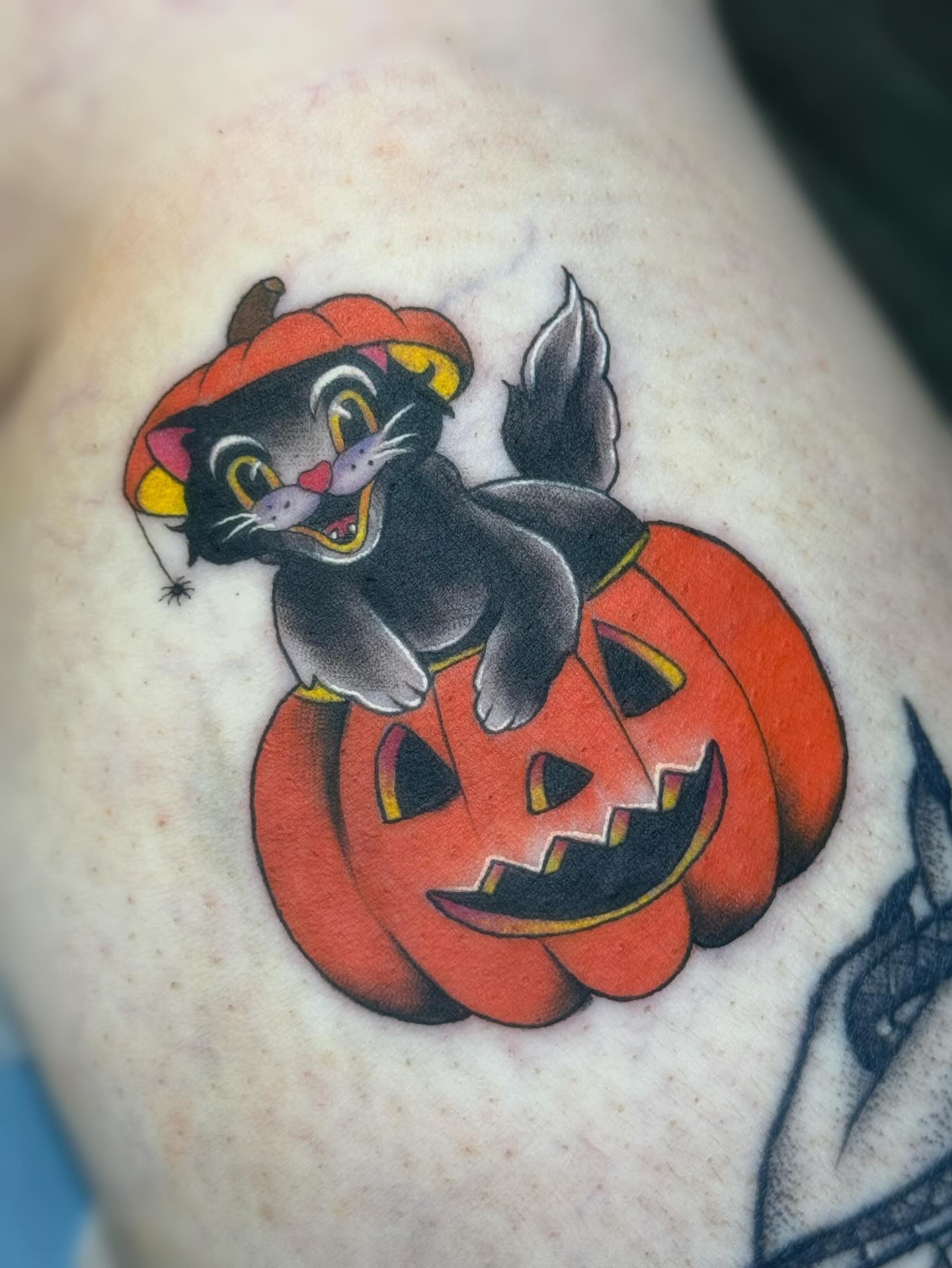 Cat in pumpkin American traditional tattoo on the shoulder by Elly Bordwell