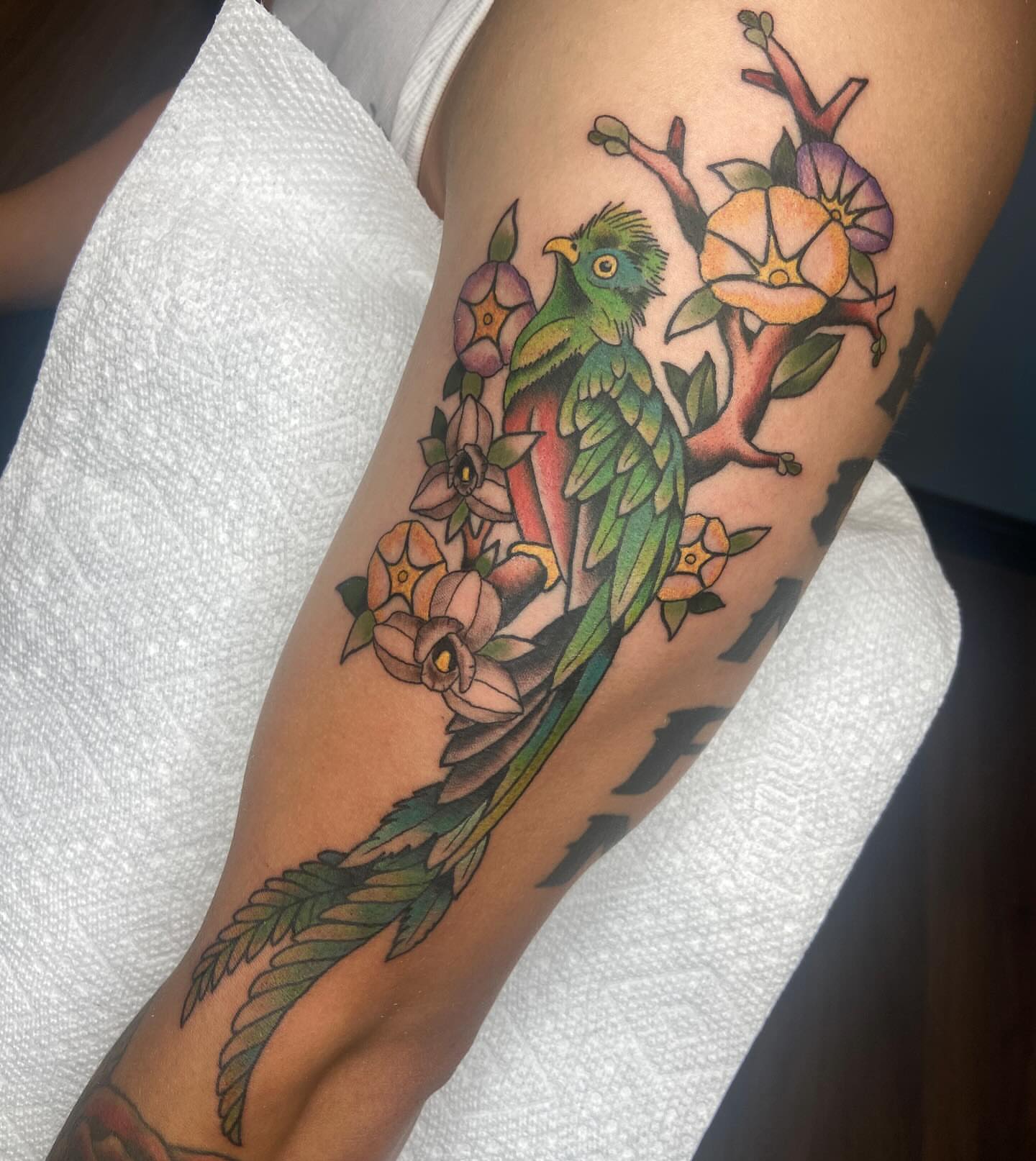 Parrot and flowers American traditional tattoo on the forearm by nicholas mcevoy, Boston, Massachusetts