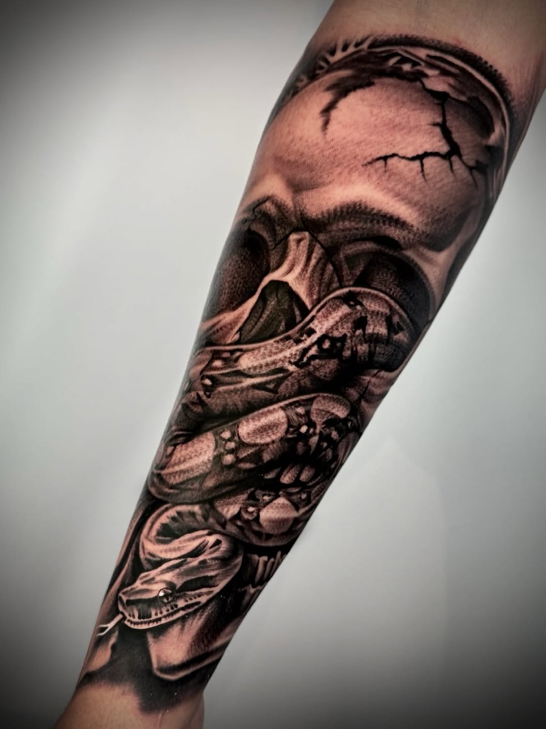 Snake and skull realism tattoo on the forearm by David Torres