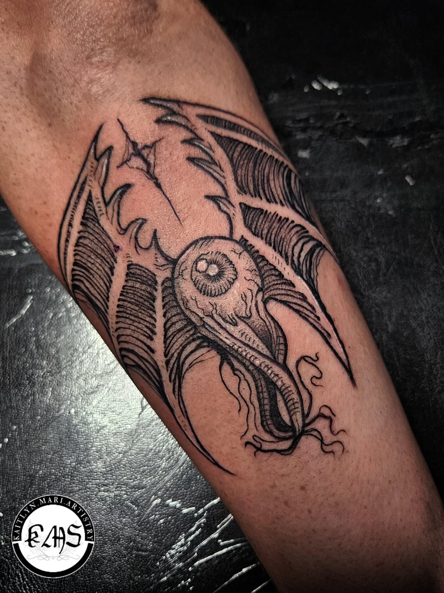 Squid black and grey tattoo on the forearm by Kaitlyn Marianna Skewes 🌙 Illustrative