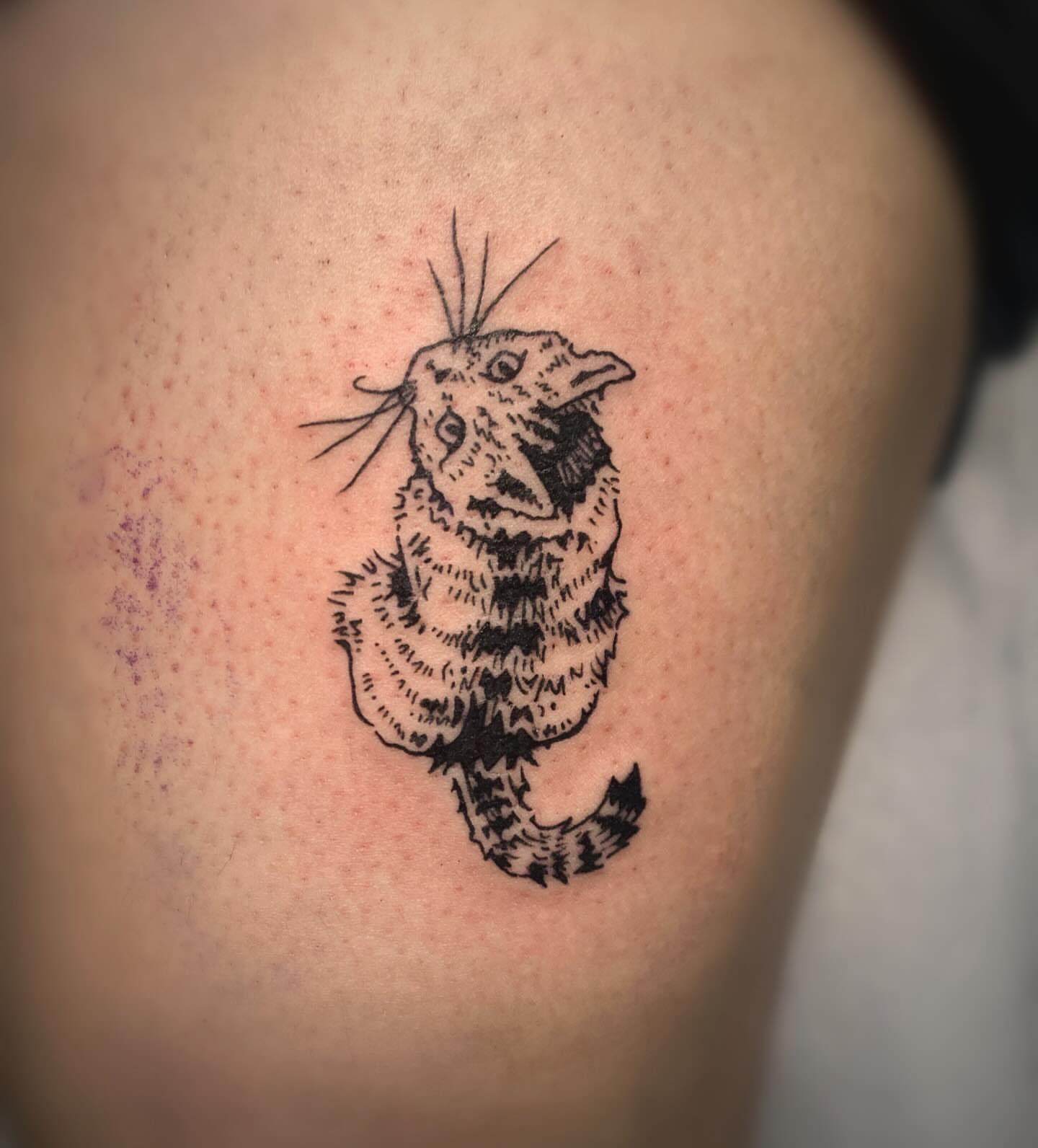 Owl black and grey tattoo on the shoulder by Ava Glory Tattoos