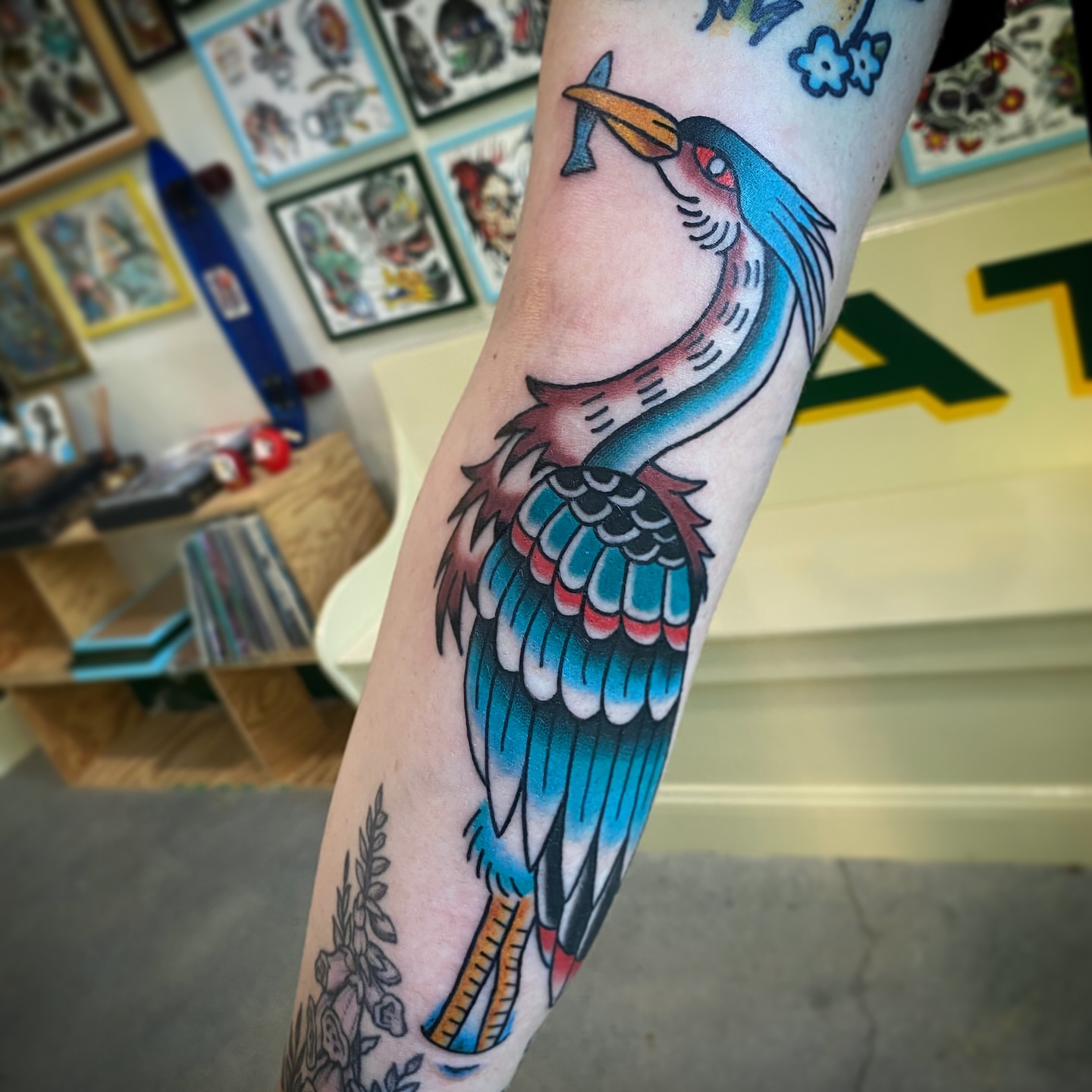 Kingfisher American traditional tattoo on the forearm by @katie_tatts