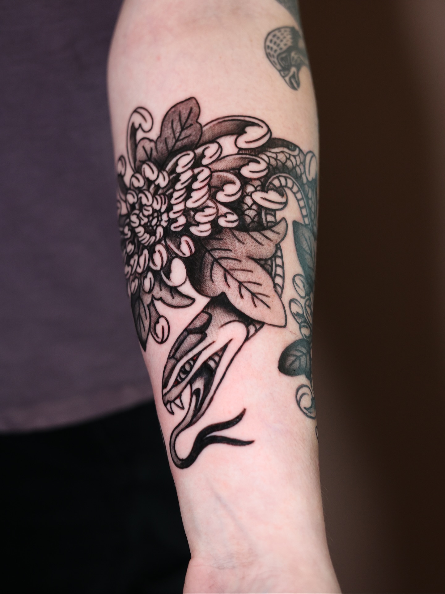 Snake and chrysanthemum black and grey tattoo on the forearm by Dylan Mott
