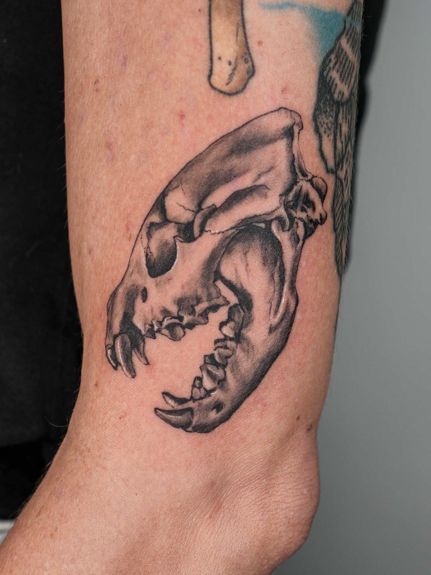 Skull black and grey tattoo on the forearm by Tiffany