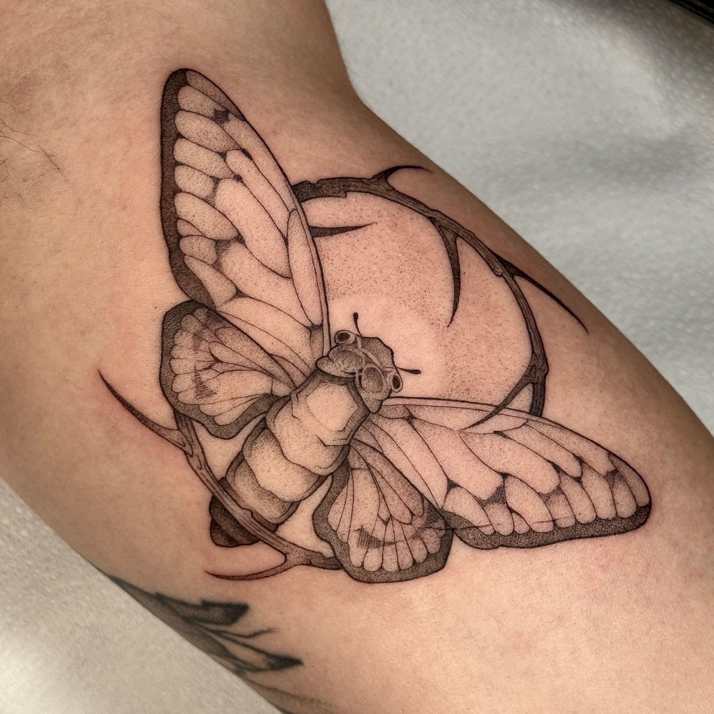 Butterfly black and grey tattoo on the forearm by Molly Murray