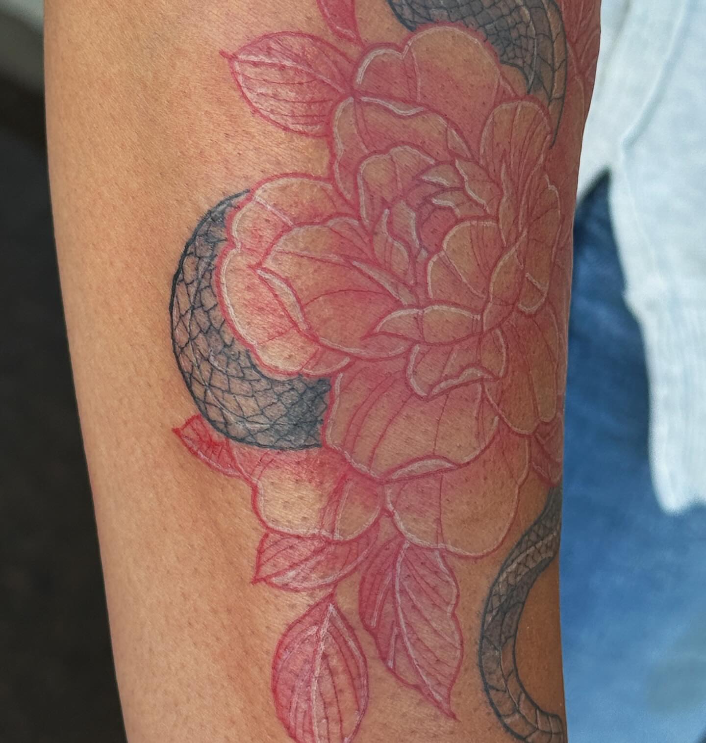 Peony and snake neo-traditional tattoo on the forearm by goose 🪿