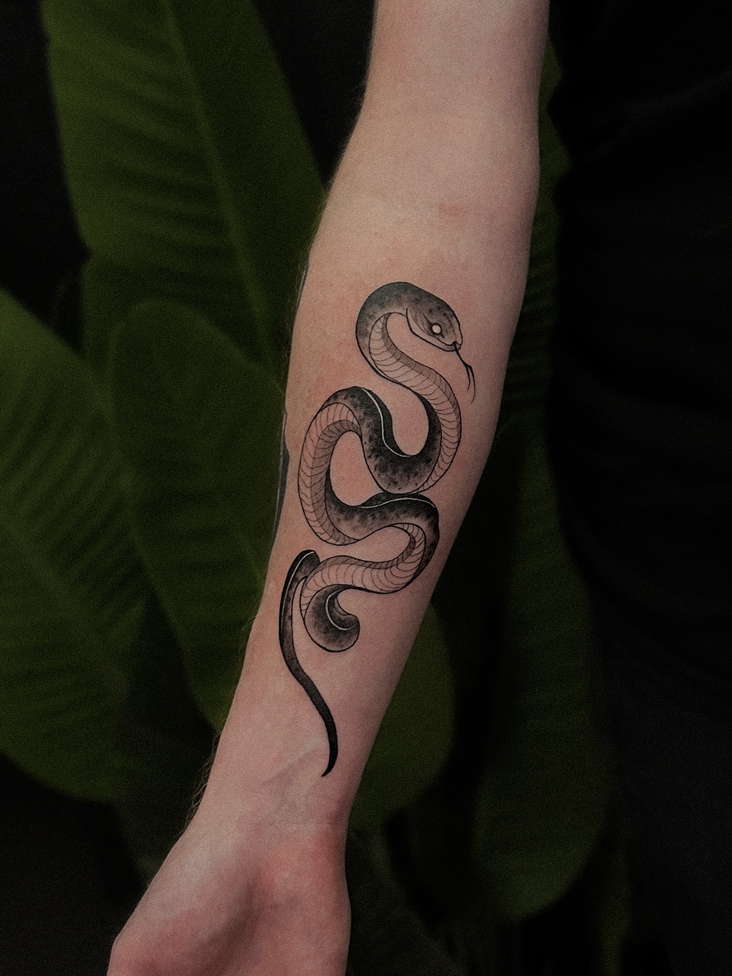 Snake black and grey tattoo on the forearm by Tattoo Artist 👩🏻‍🎨 ATX