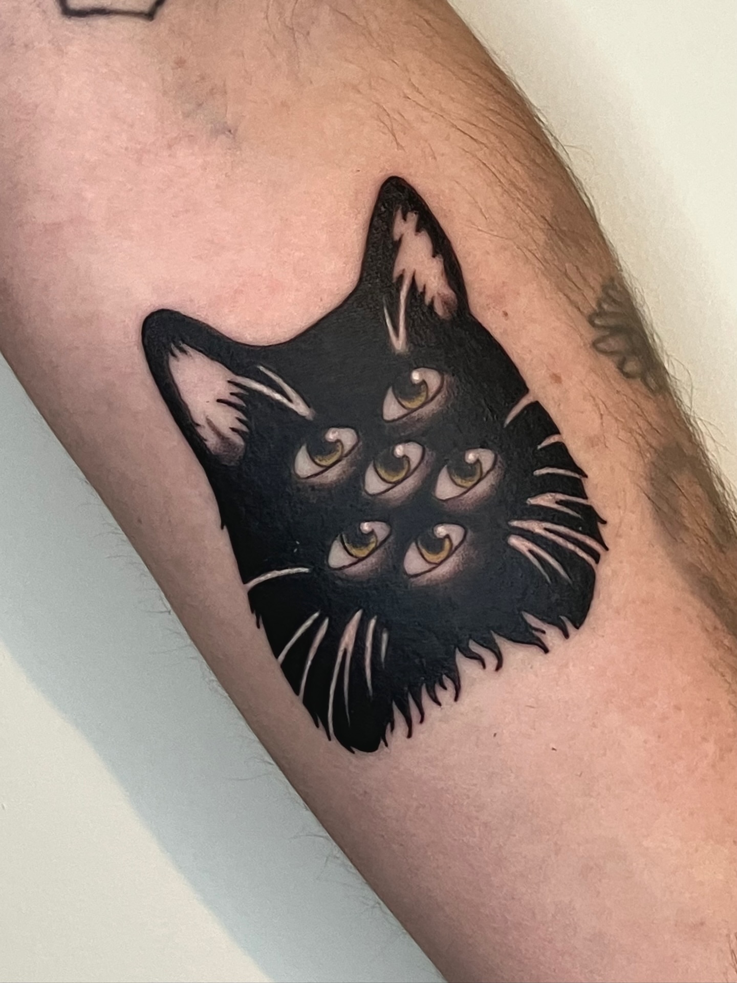 Cat black and grey tattoo on the forearm by Hunter McGinnis