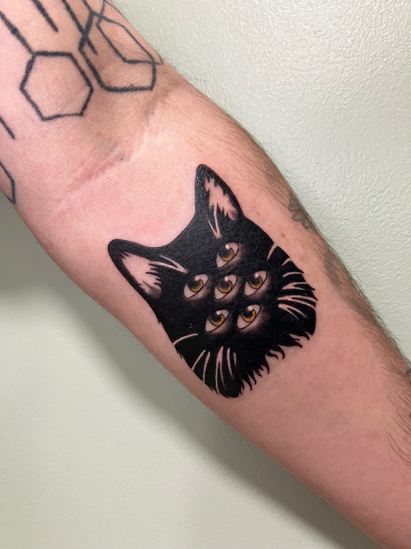 Cat black and grey tattoo on the forearm by Hunter McGinnis