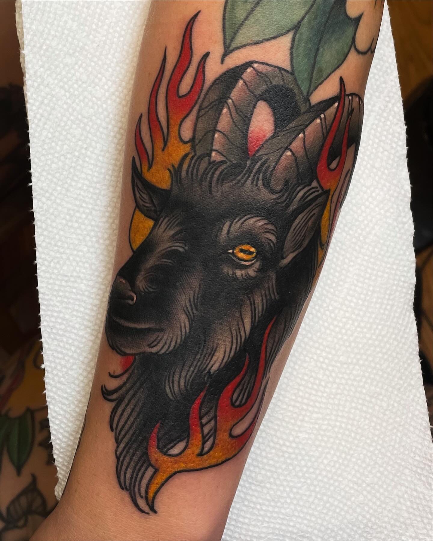 Goat head American traditional tattoo on the forearm by Monica Amneus