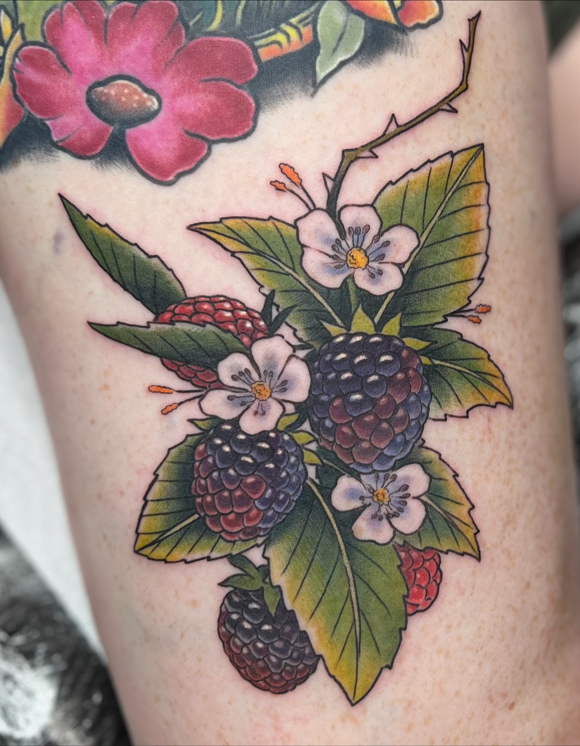Berry bush American traditional tattoo on the thigh by 𝗕𝗿𝗮𝗻𝗱𝘆  𝗪𝗼𝗼𝗱𝗳𝗼𝗿𝗱