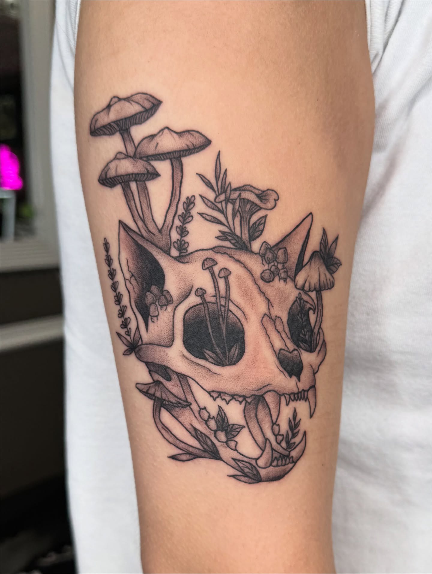 Skull with mushrooms and foliage realism tattoo on the forearm by Cora Phelps