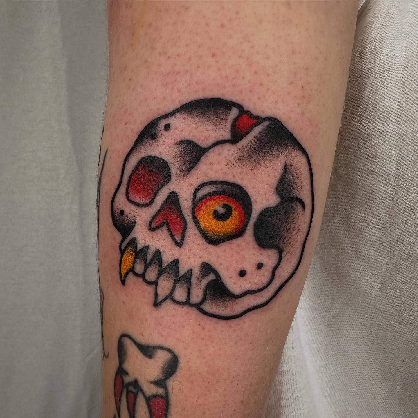 Skull American traditional tattoo on the forearm by Hannah Jean
